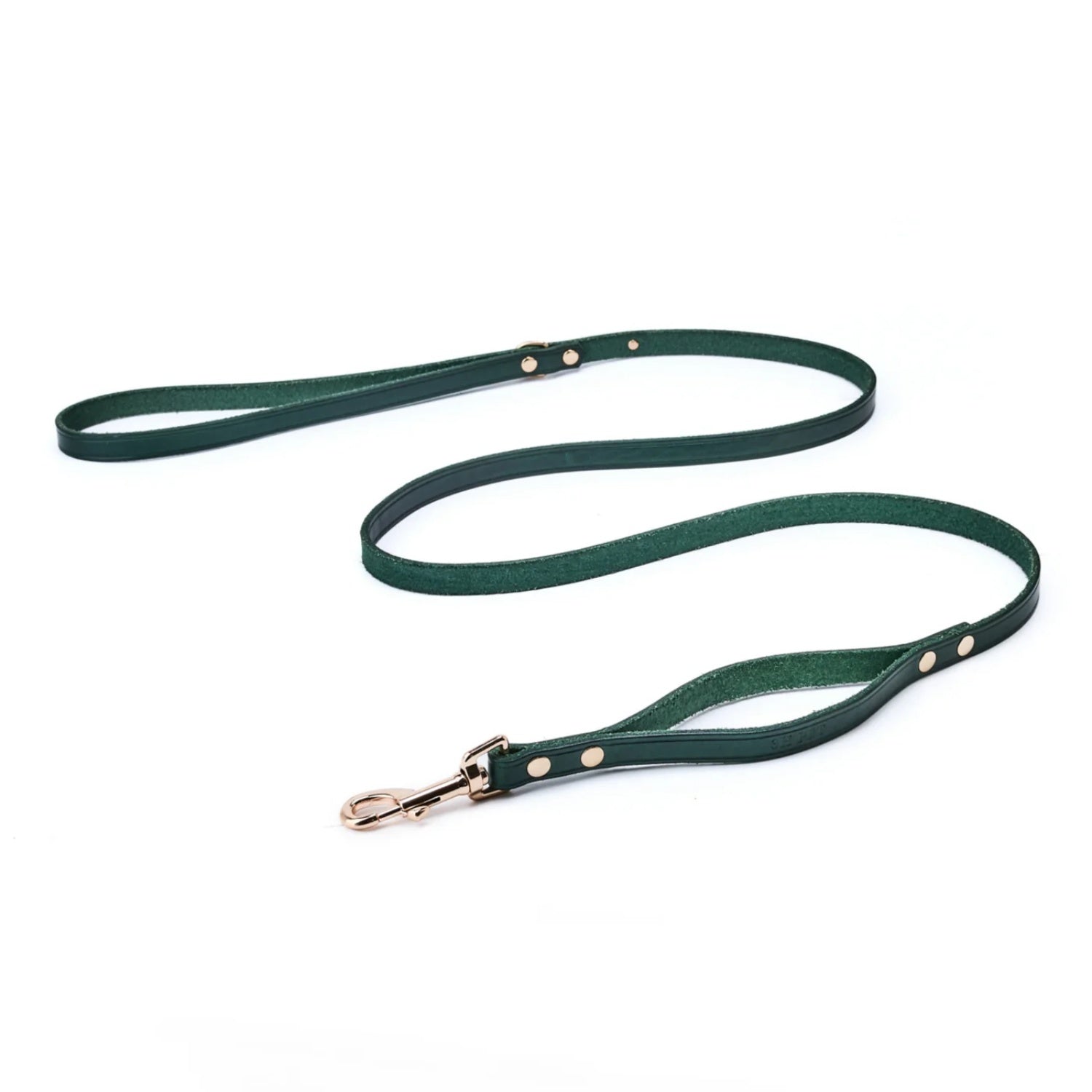 Double Handle Dog Leash|Green
