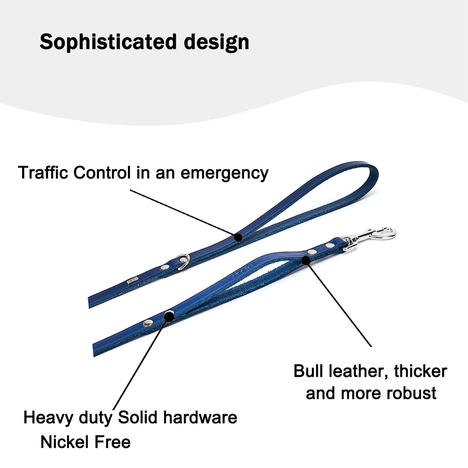 Double Handle Dog Leash|Blue