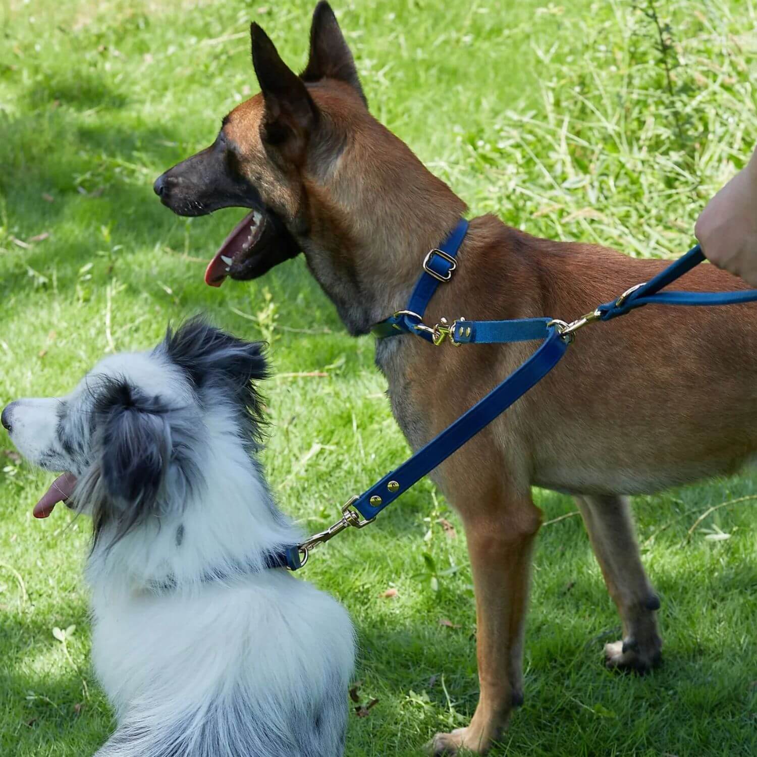 2 Dogs Leash Leather Leash Coupler Blue