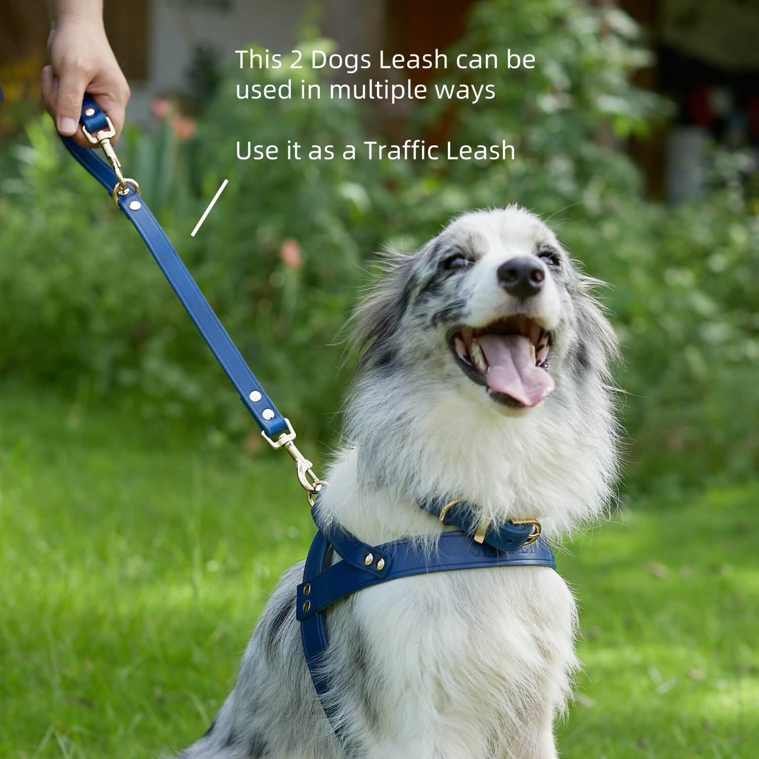 2 Dogs Leash Leather Leash Coupler Blue