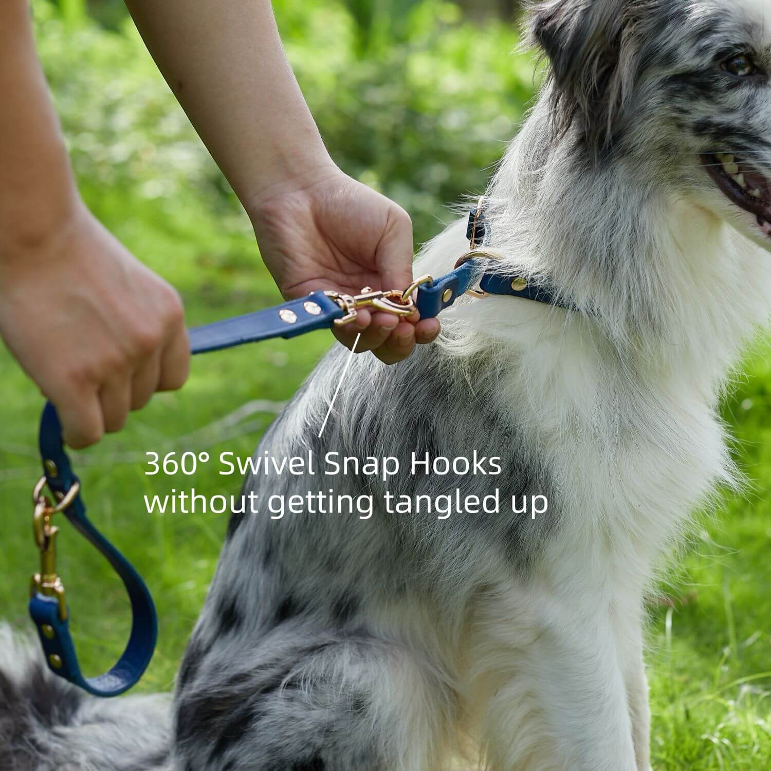 2 Dogs Leash Leather Leash Coupler Blue