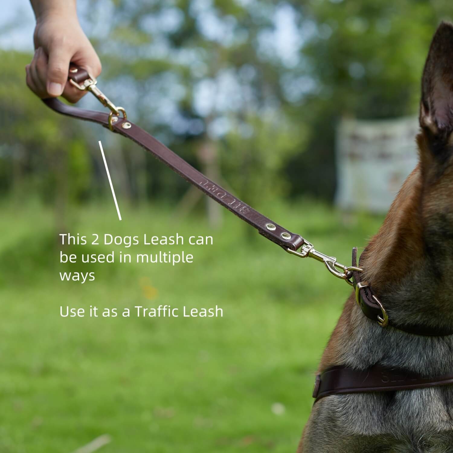 2 Dogs Leash Leather Leash Coupler Brown
