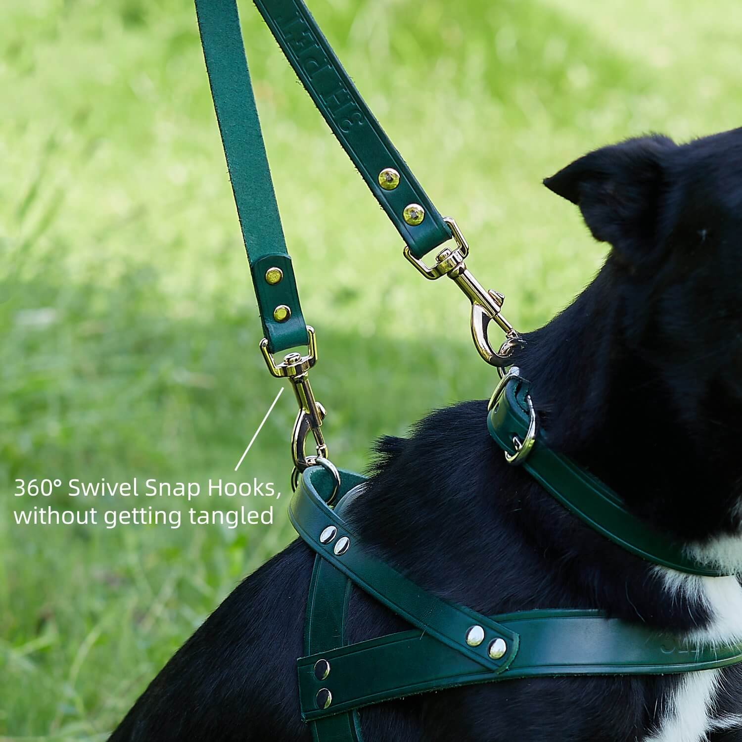 2 Dogs Leash Leather Leash Coupler Green