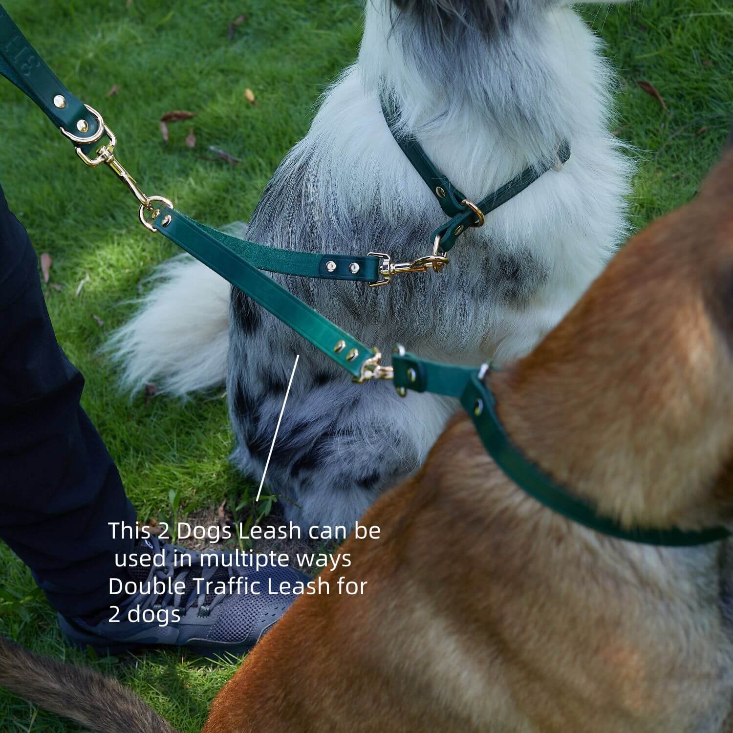 2 Dogs Leash Leather Leash Coupler Green