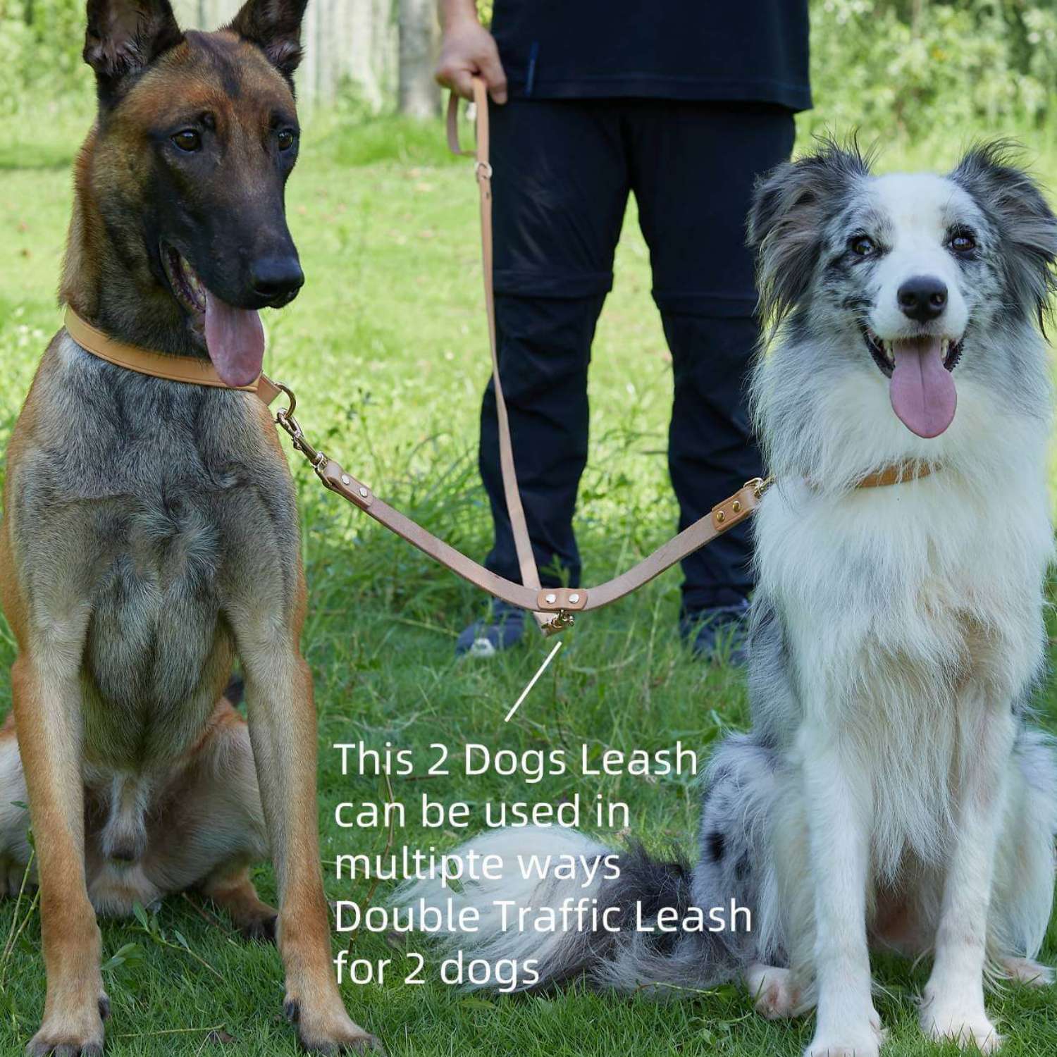 2 Dogs Leash Leather Leash Coupler Nature