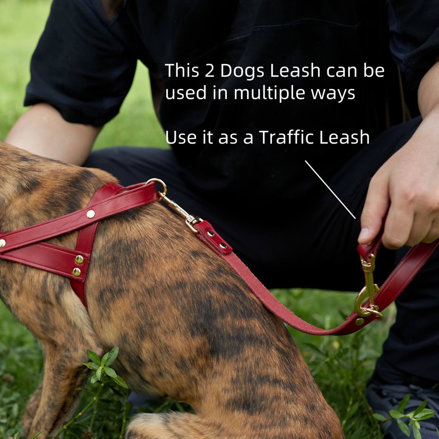 2 Dogs Leash Leather Leash Coupler Red