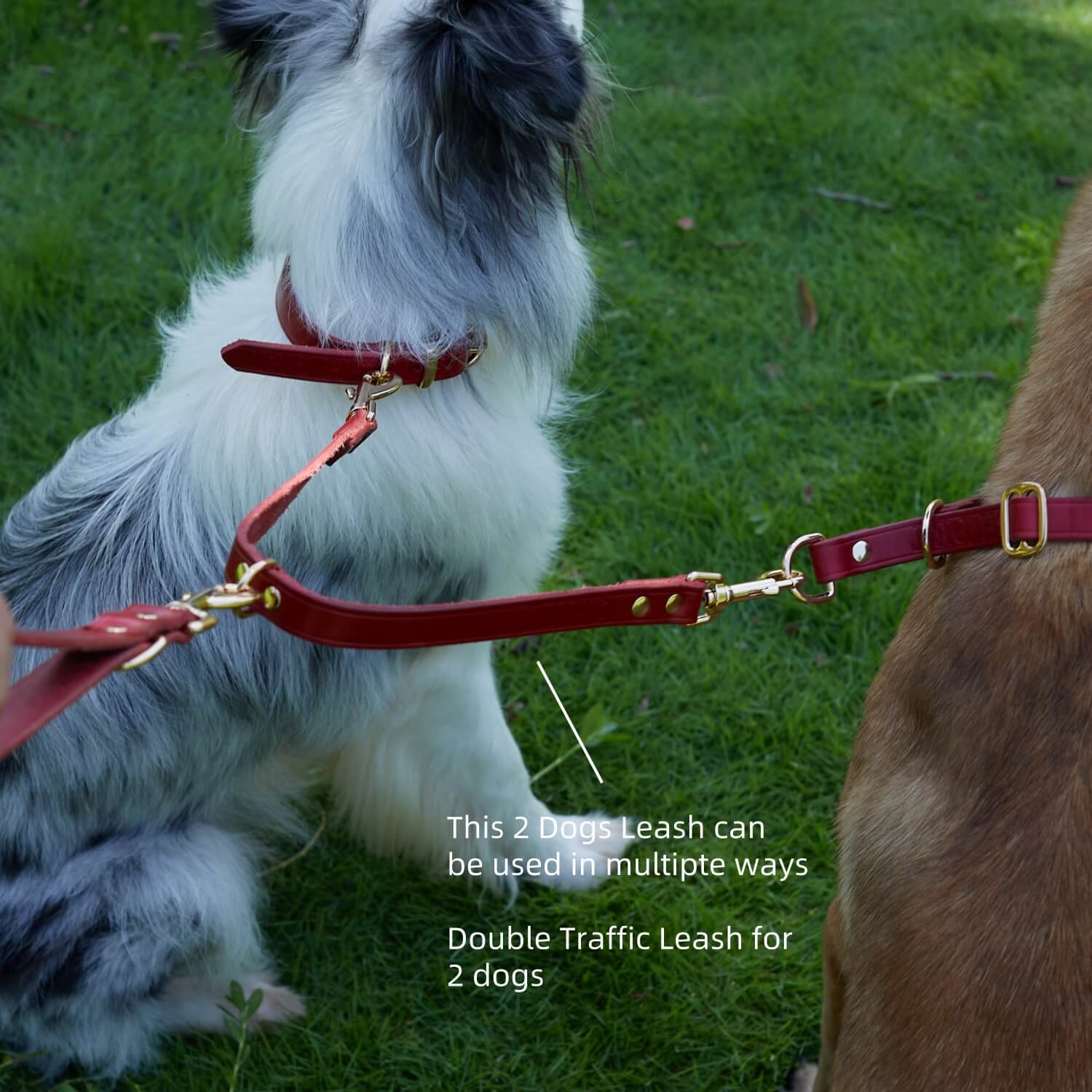2 Dogs Leash Leather Leash Coupler Red