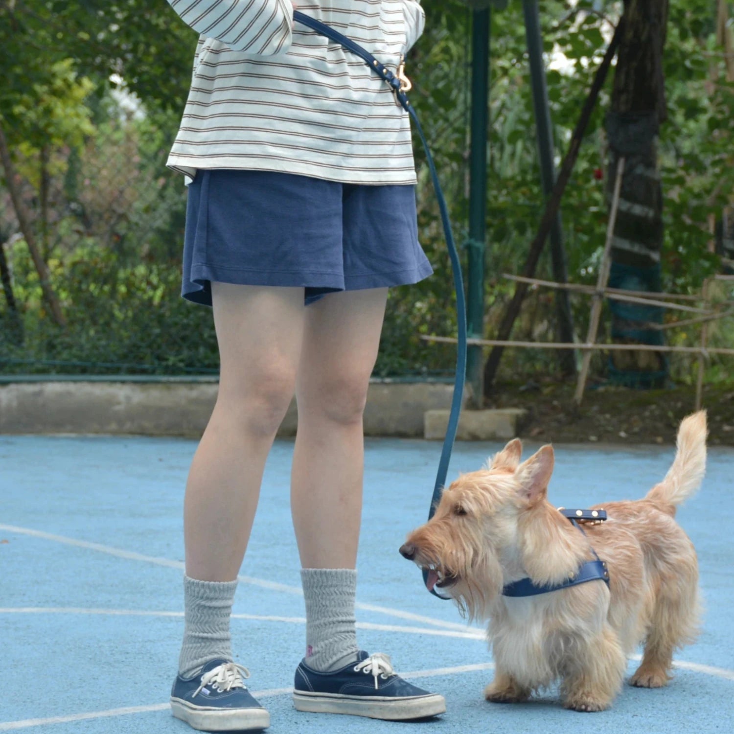 Adjustable Hands Free Leash Blue