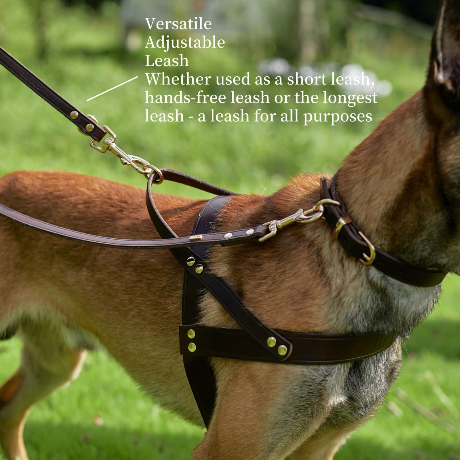 Adjustable Hands Free Leash Brown