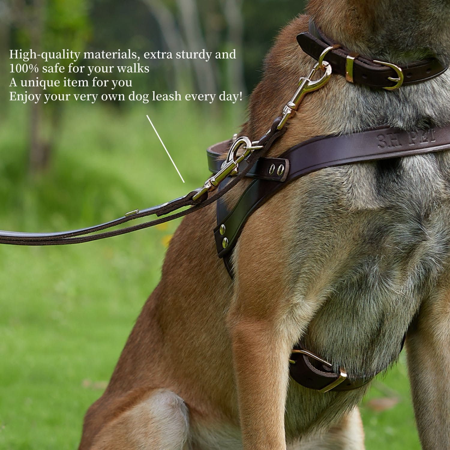 Adjustable Hands Free Leash Brown