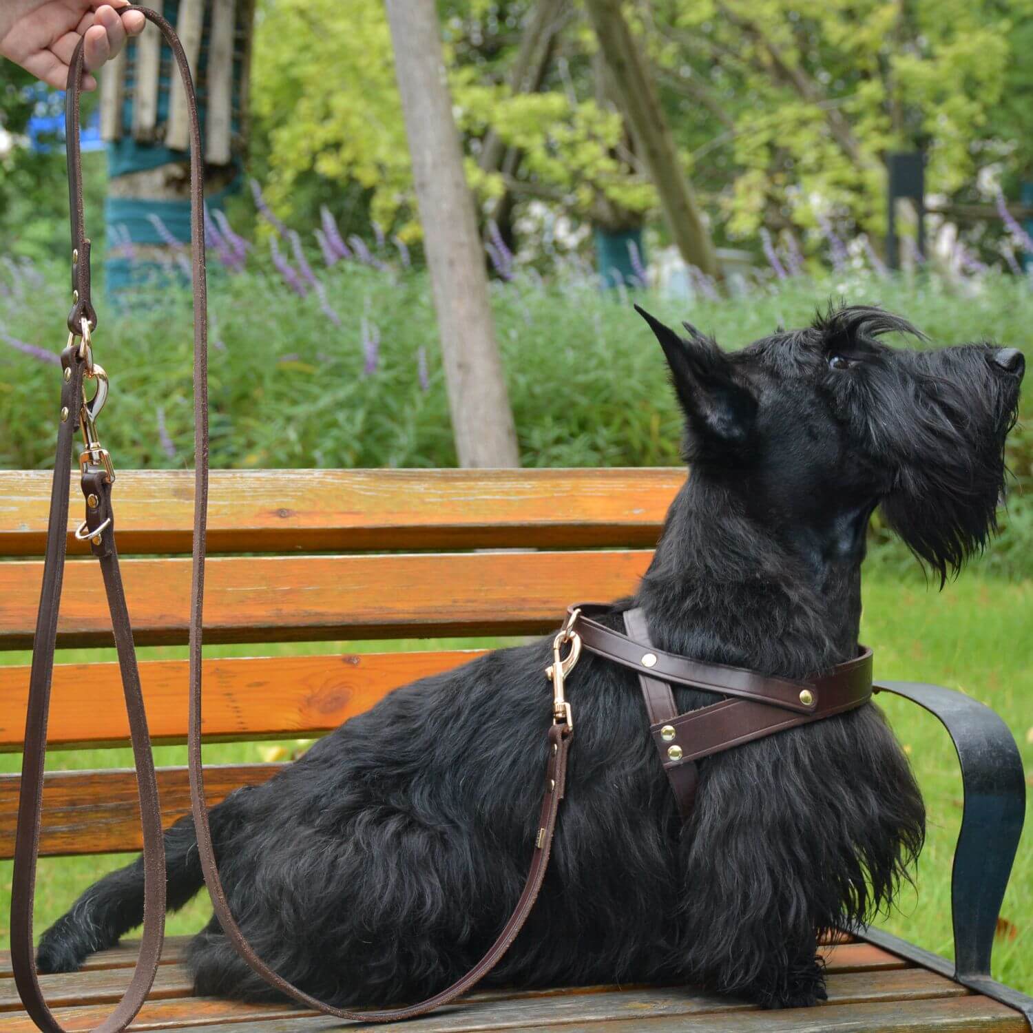 Adjustable Hands Free Leash Brown