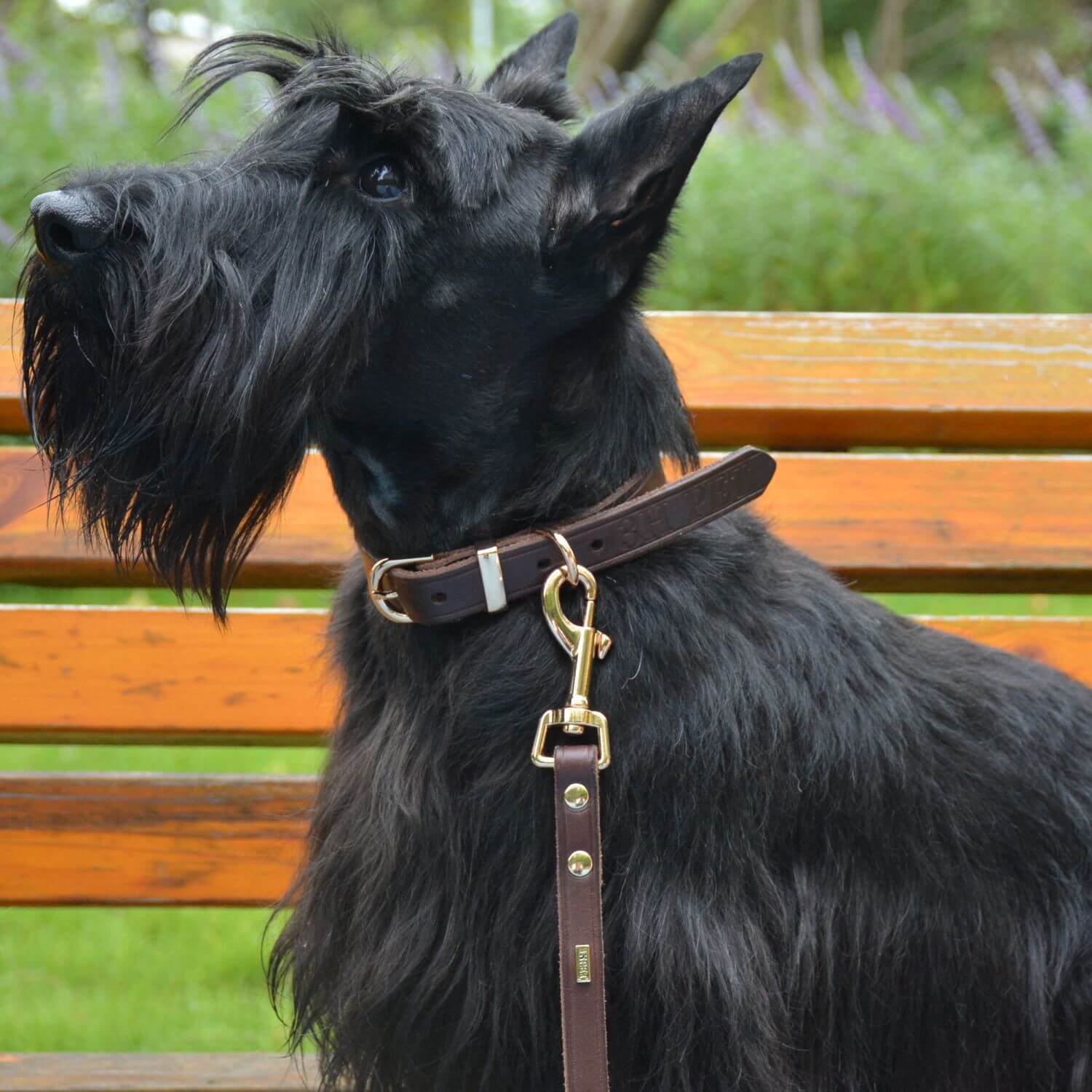 Adjustable Hands Free Leash Brown