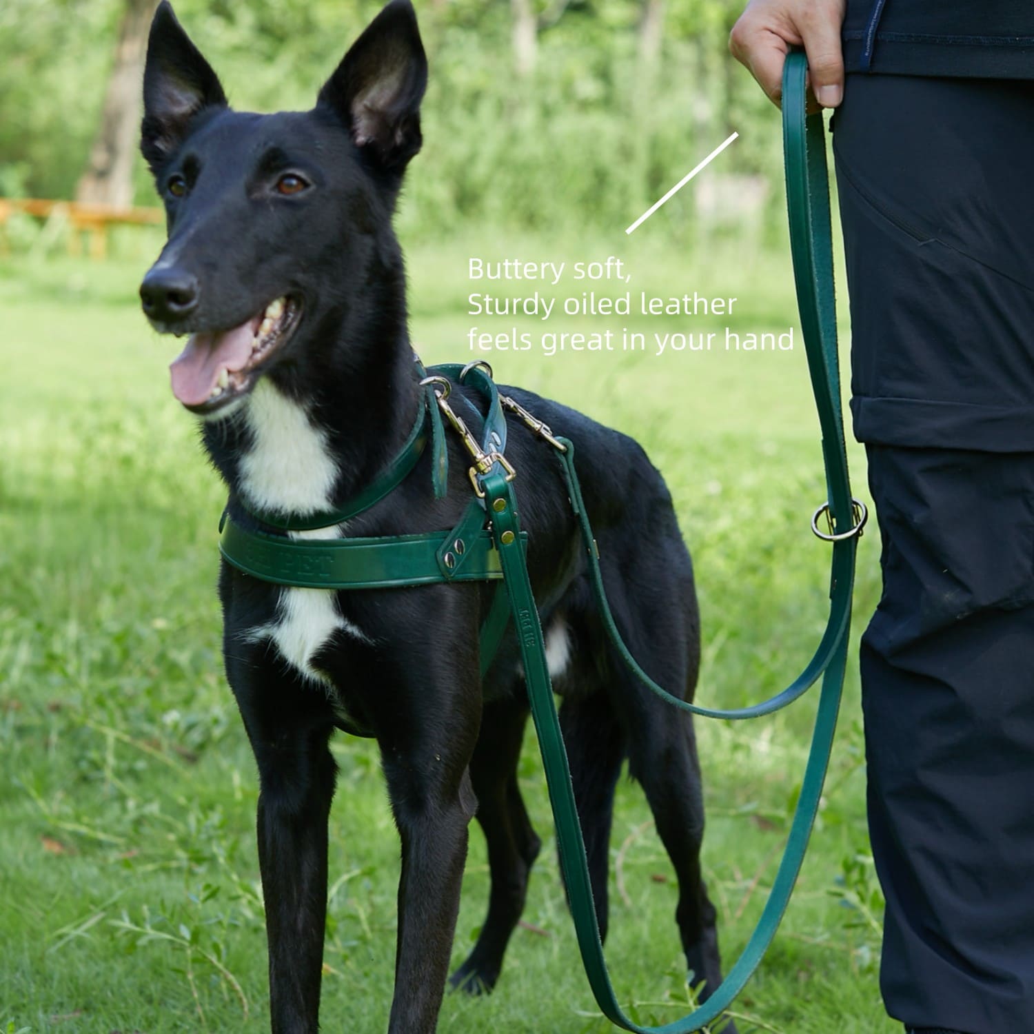 Adjustable Hands Free Leash Green