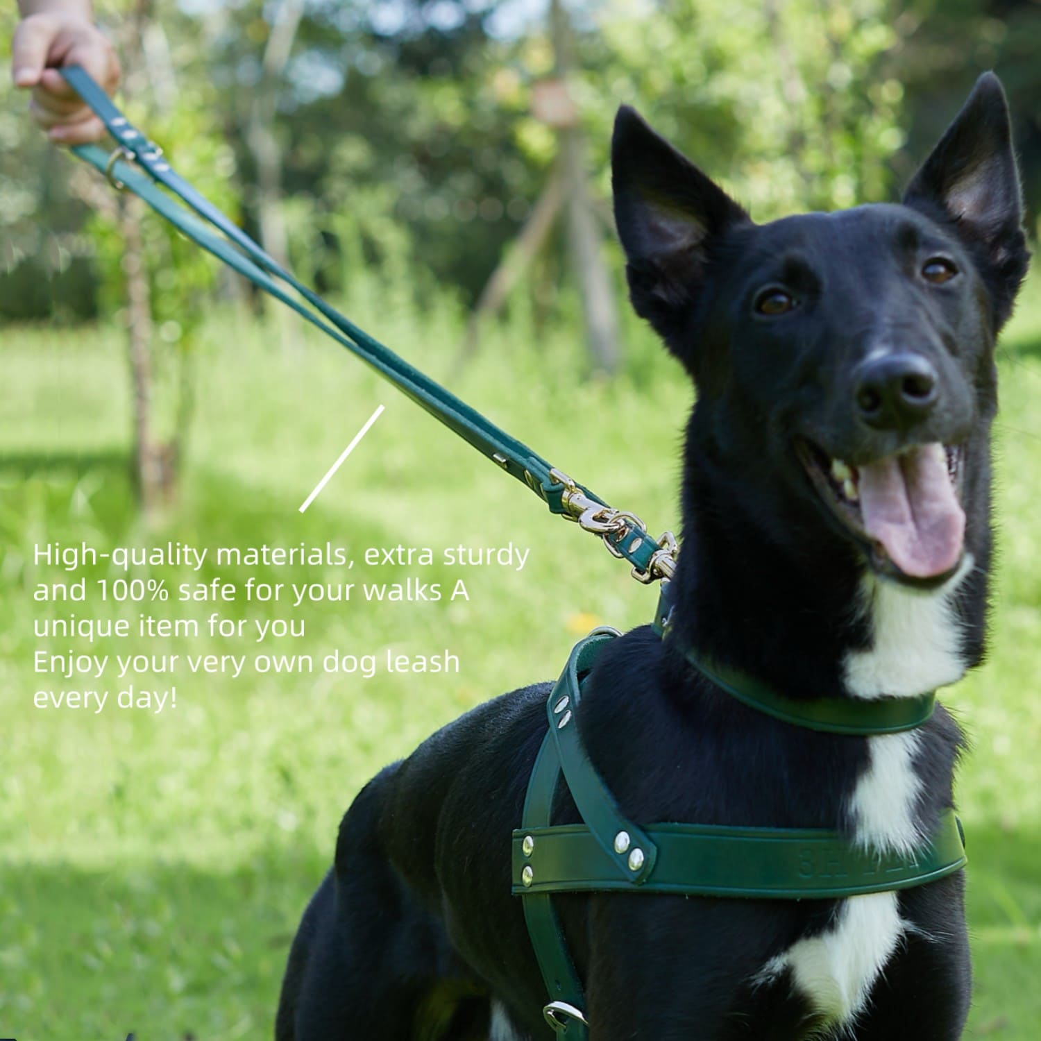 Adjustable Hands Free Leash Green