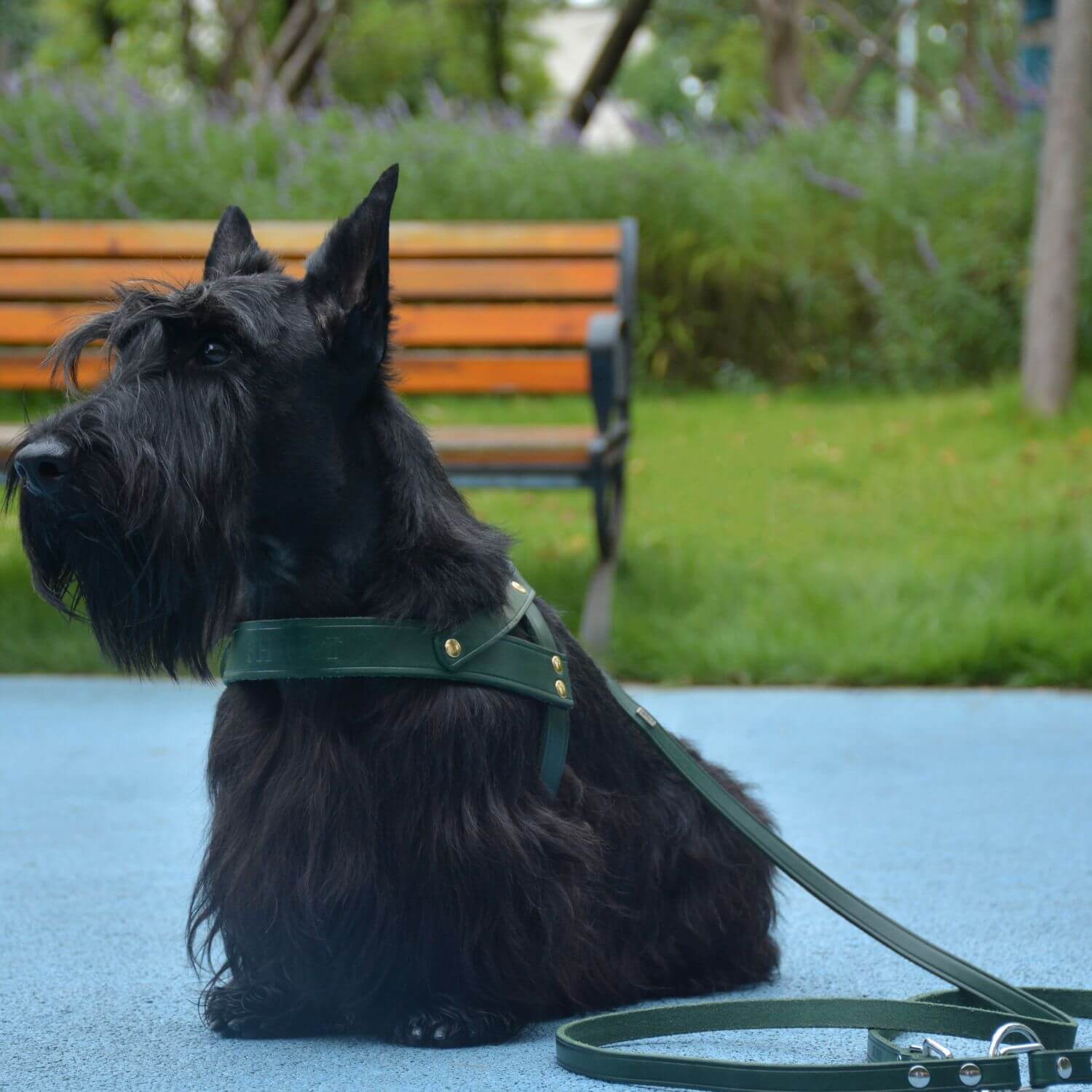 Adjustable Hands Free Leash Green