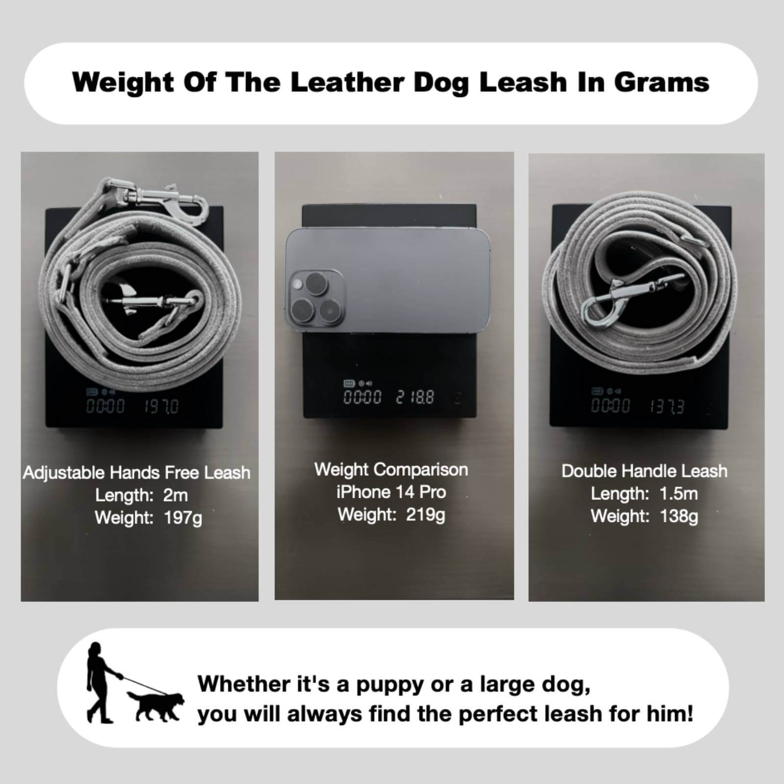 Adjustable Hands Free Leash Nature