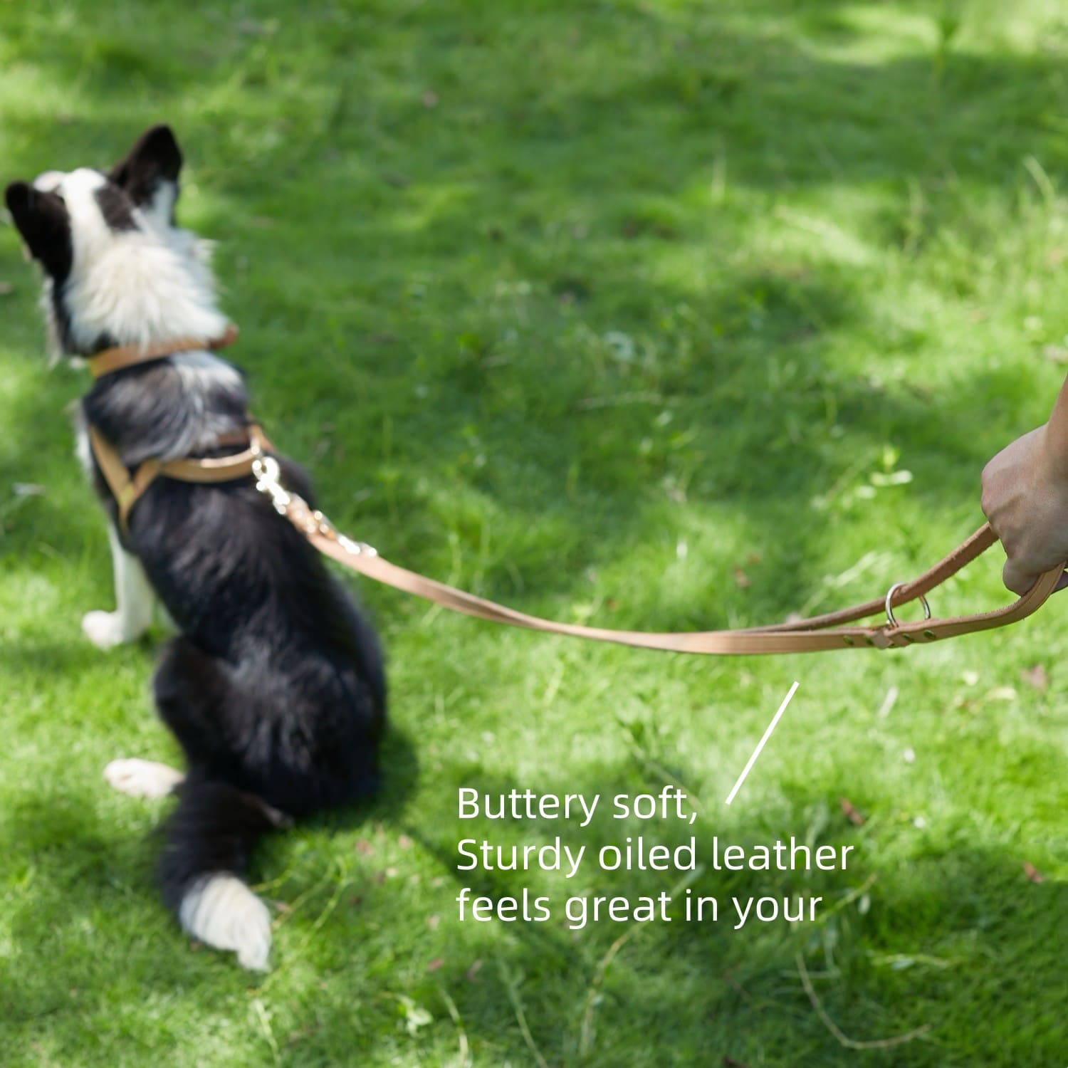 Adjustable Hands Free Leash Nature