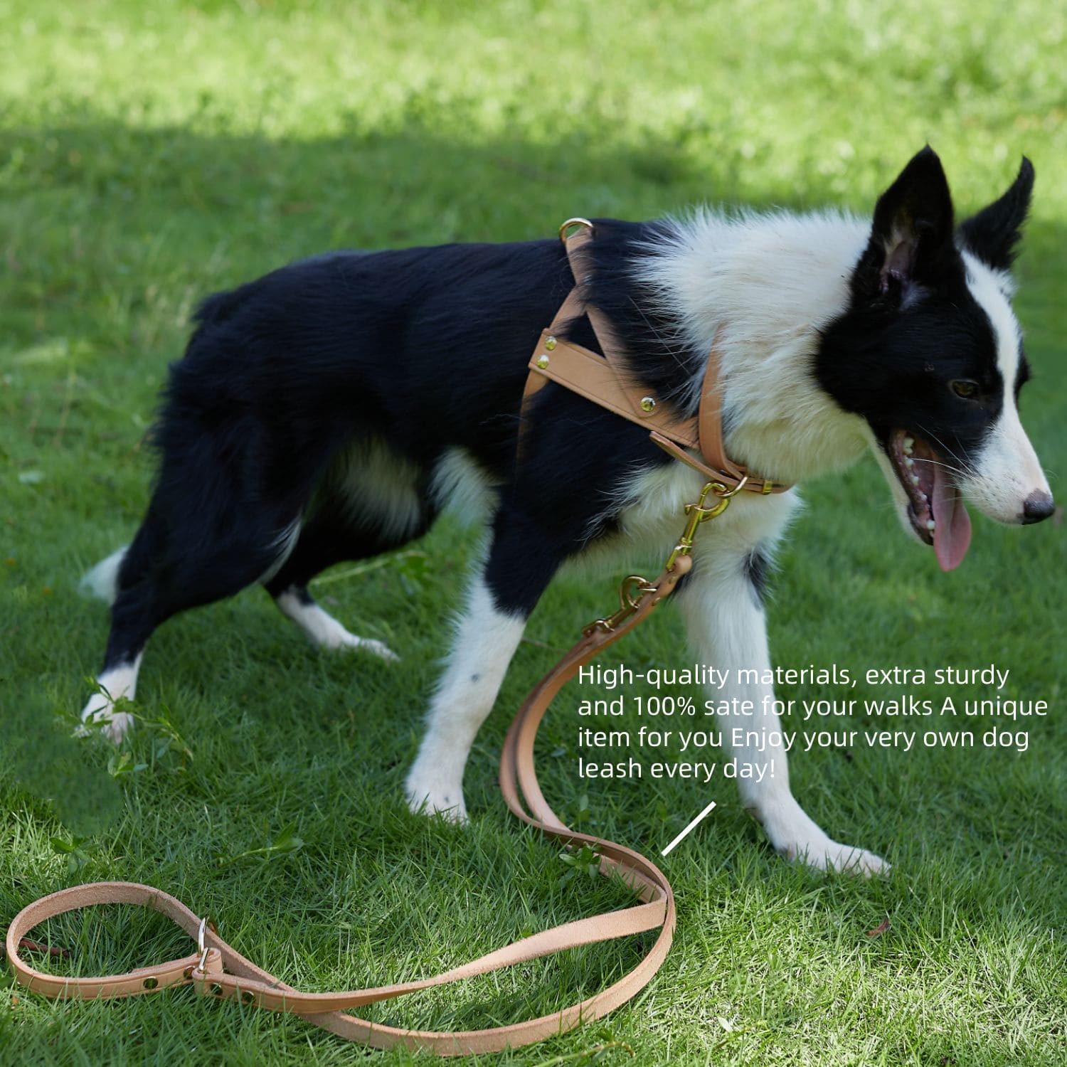 Adjustable Hands Free Leash Nature