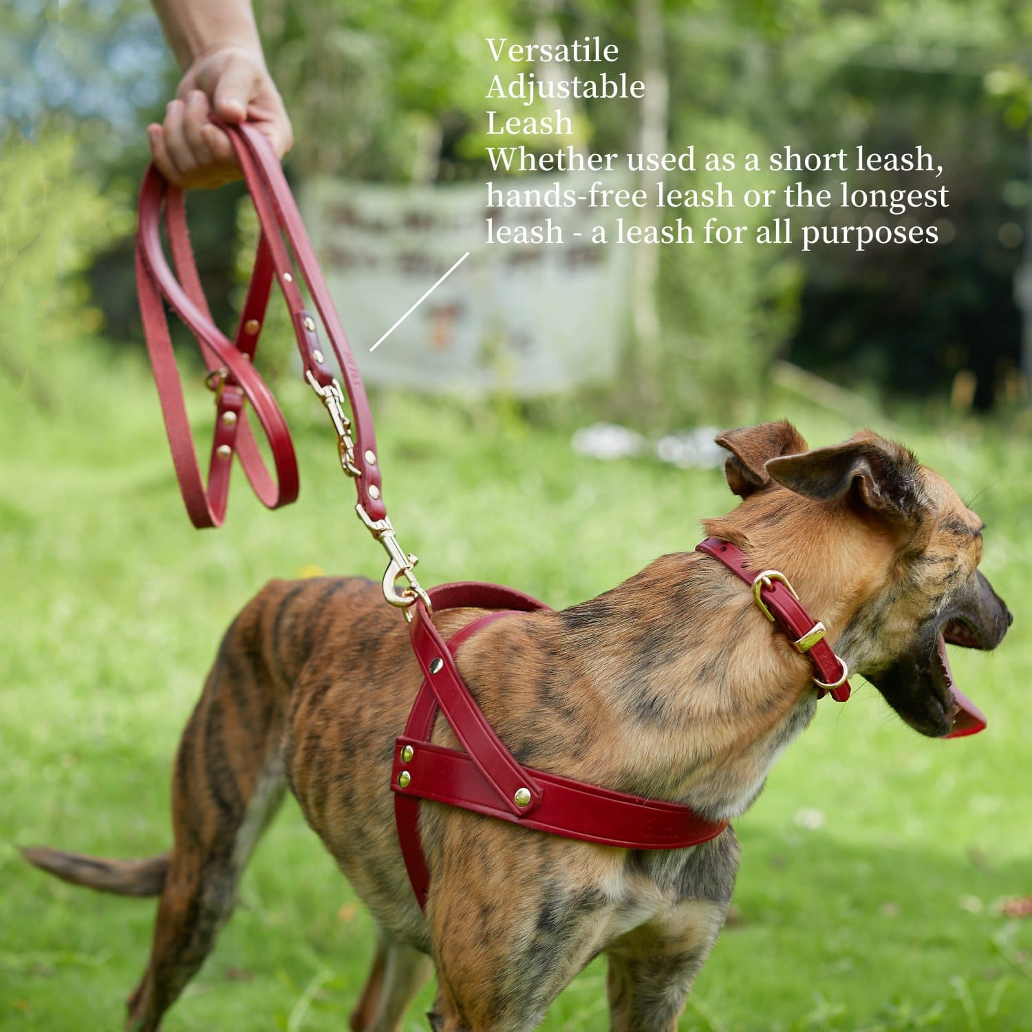 Adjustable Hands Free Leash Red