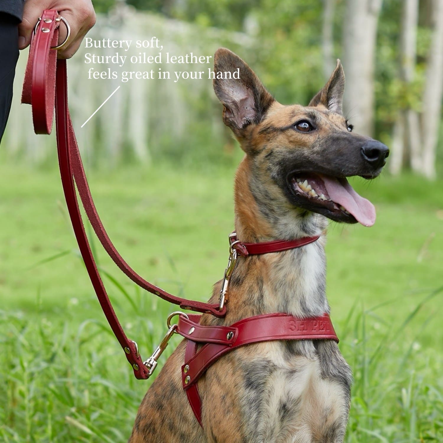 Adjustable Hands Free Leash Red
