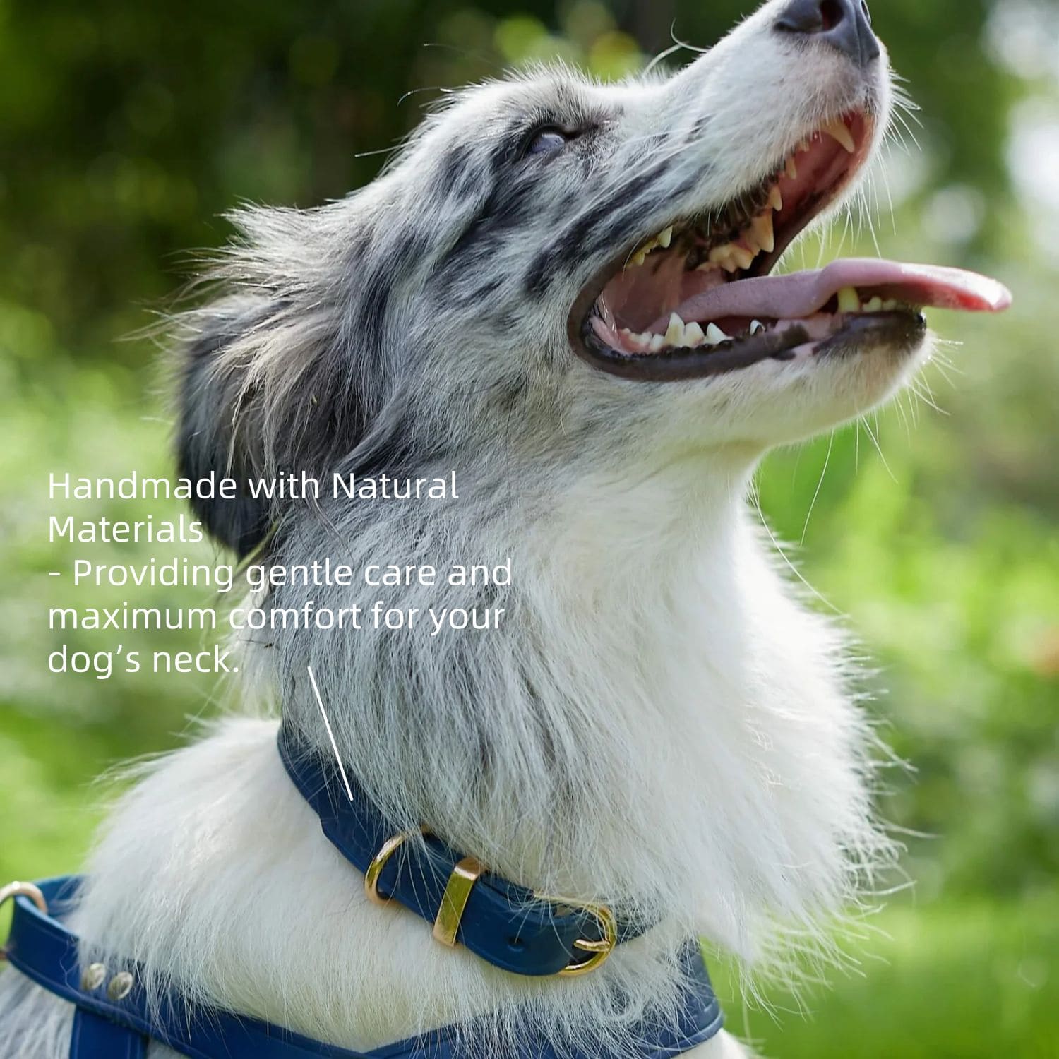 Classic Leather Collar Blue