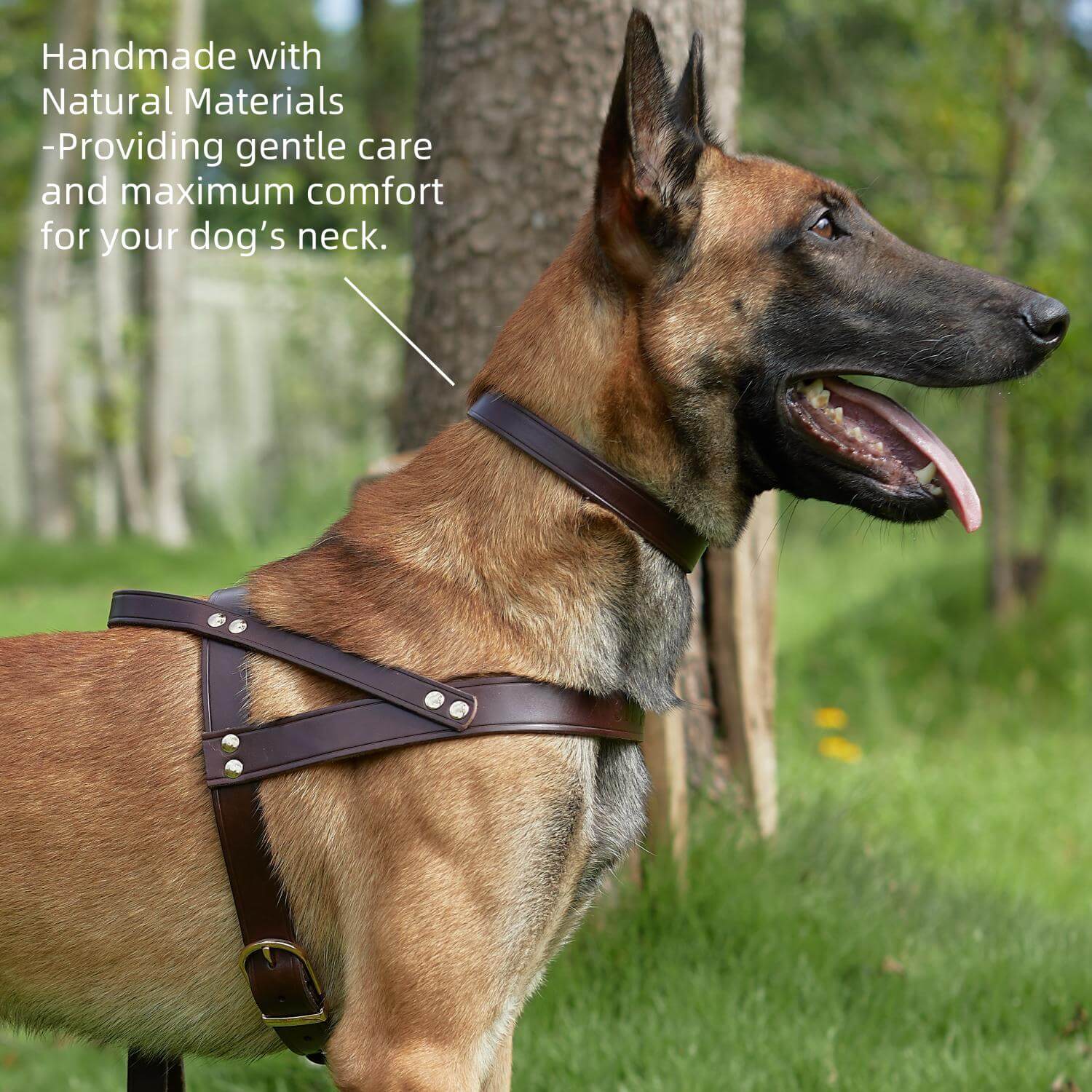 Classic Leather Collar Brown