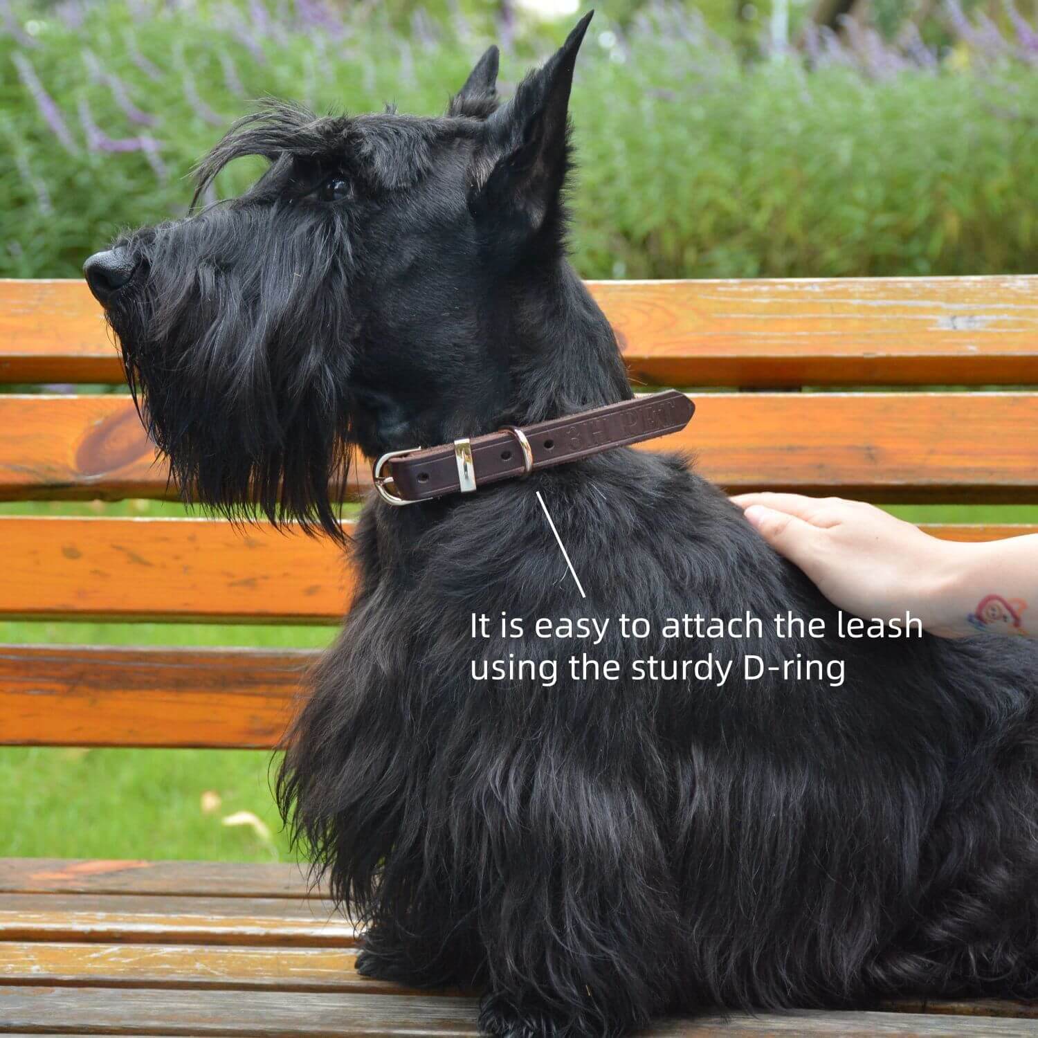 Classic Leather Collar Brown
