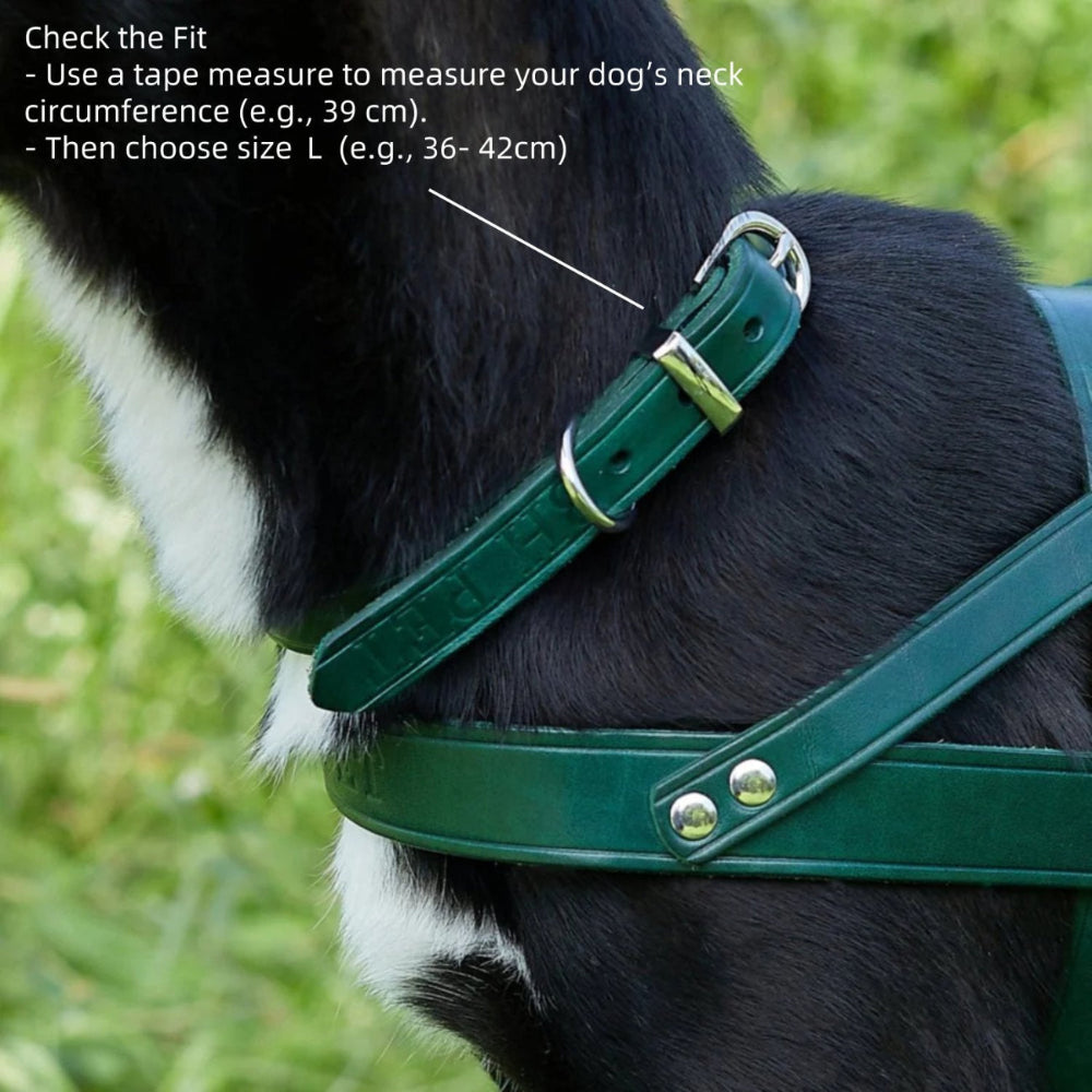 Classic Leather Collar Green