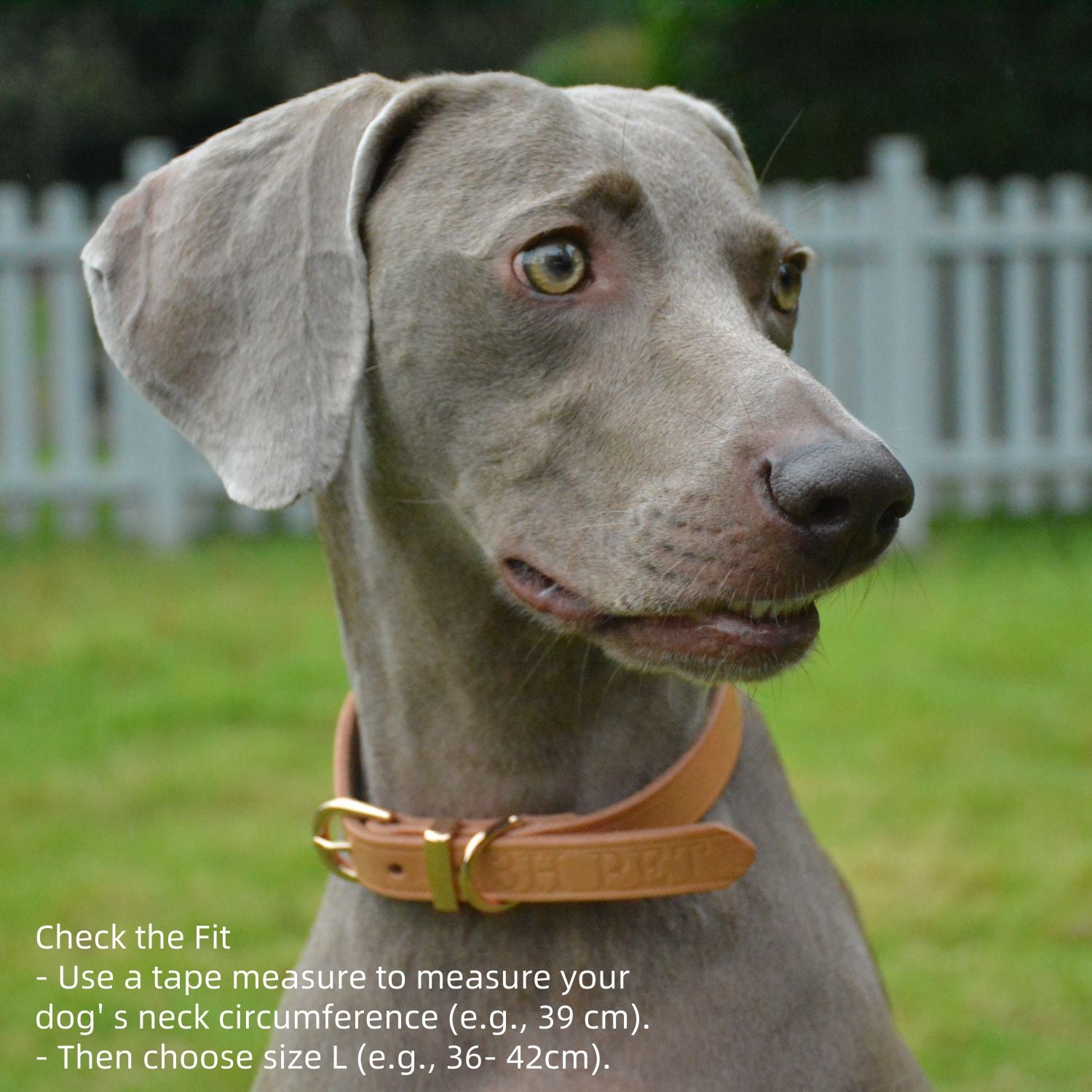 Classic Leather Collar Nature