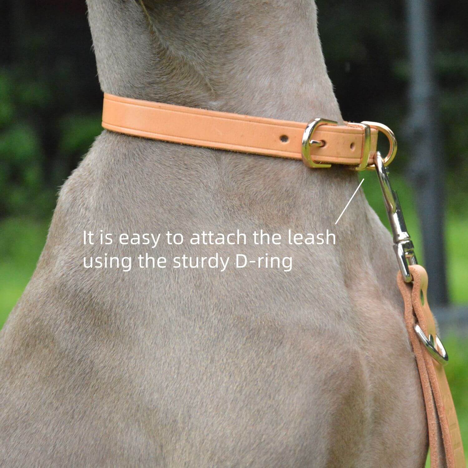 Classic Leather Collar Nature