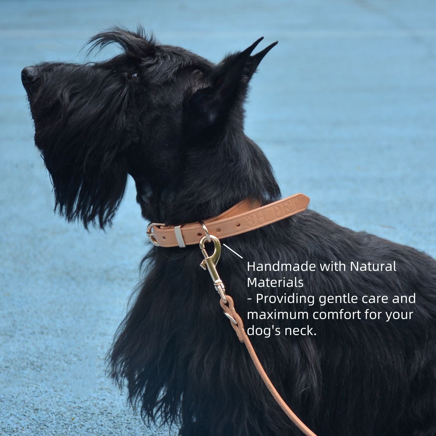 Classic Leather Collar Nature