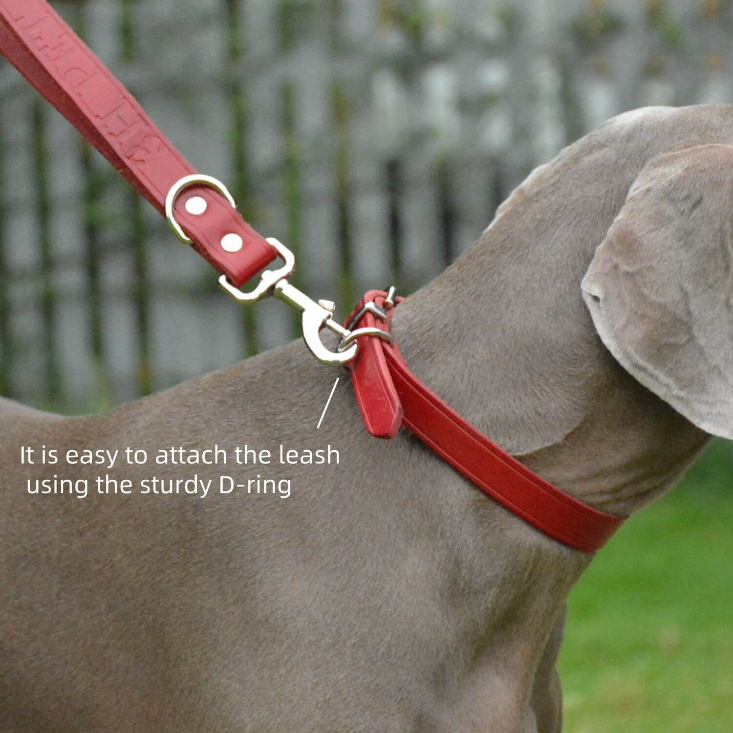 Classic Leather Collar Red
