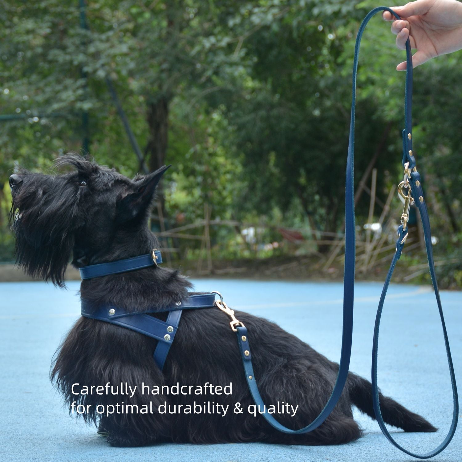 Classic No-Pull Dog Harness Blue