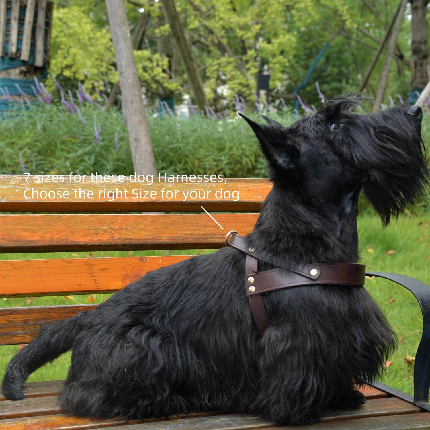 Classic No-Pull Dog Harness Brown