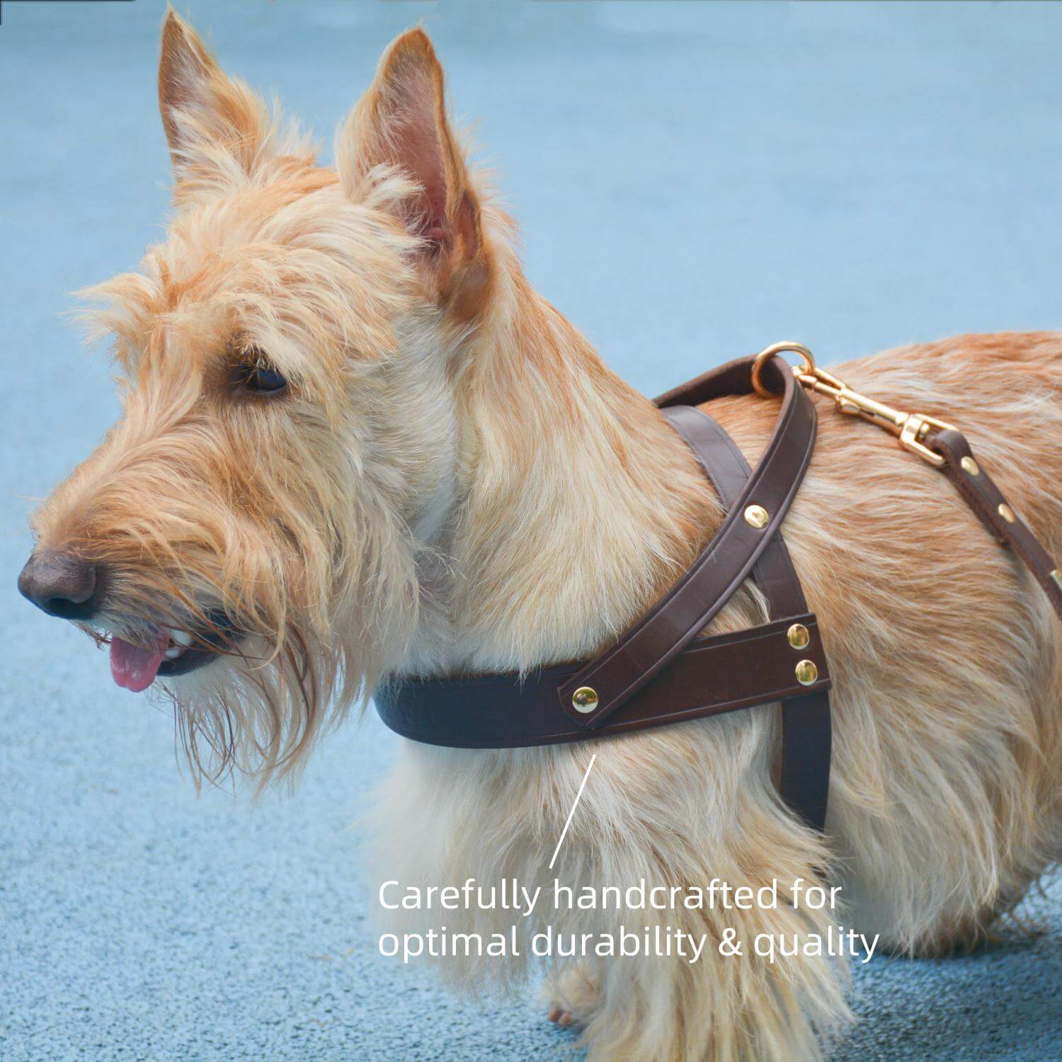 Classic No-Pull Dog Harness Brown