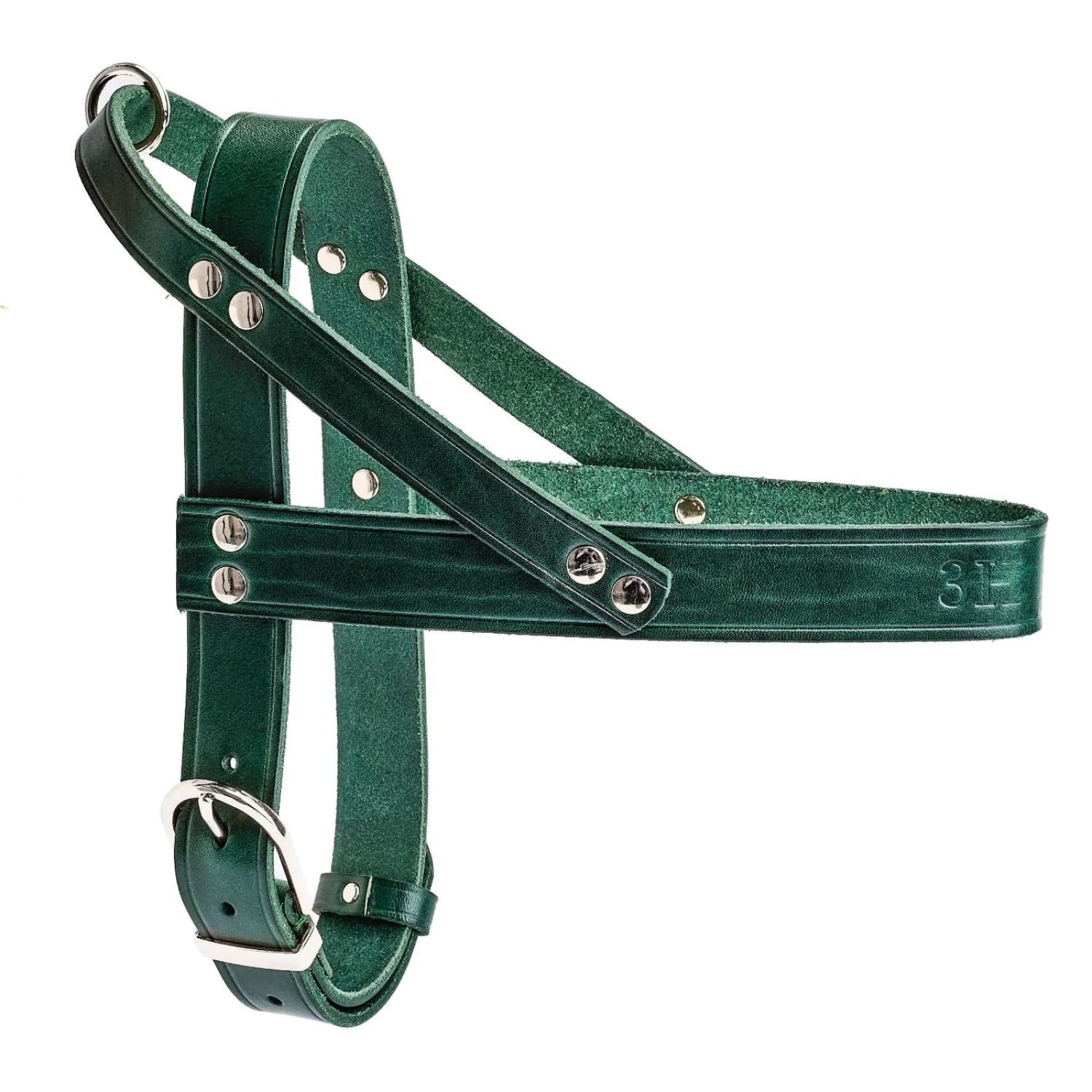 Classic No-Pull Dog Harness Green