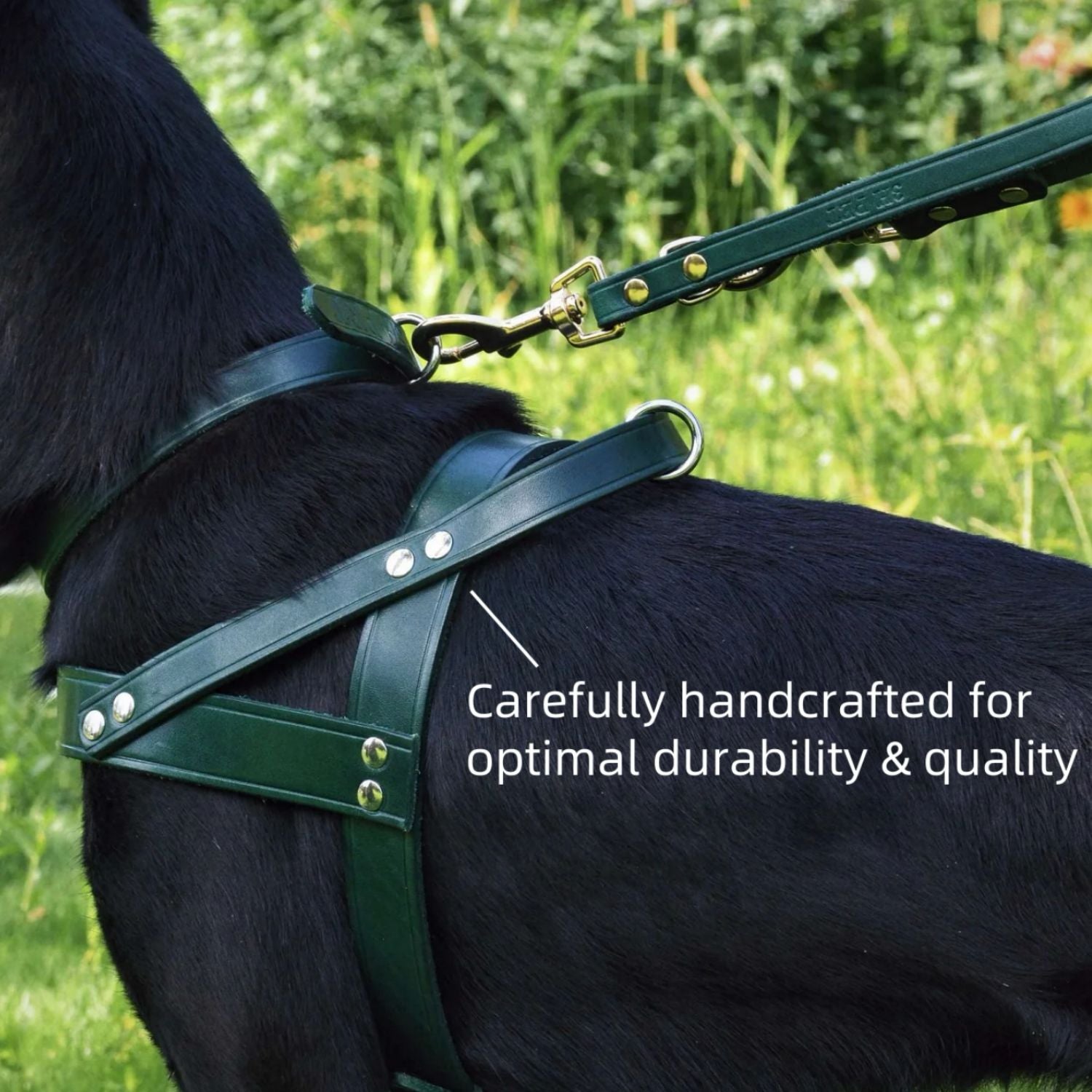 Classic No-Pull Dog Harness Green