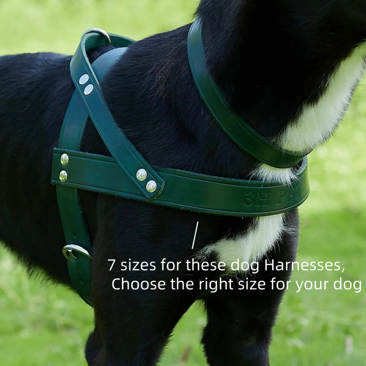 Classic No-Pull Dog Harness Green