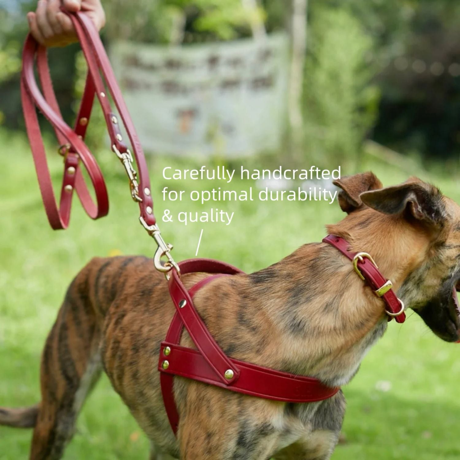 Classic No-Pull Dog Harness Red