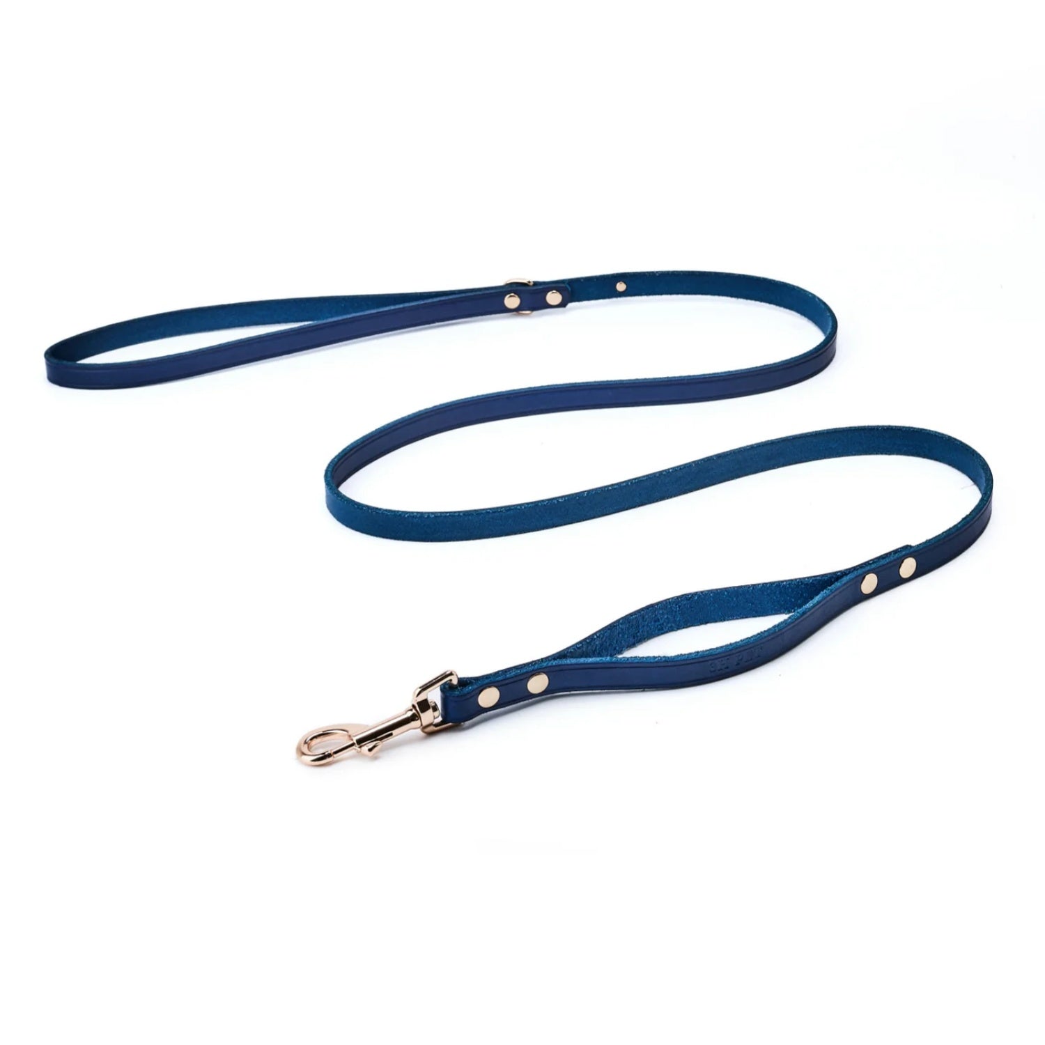 Double Handle Leash Blue