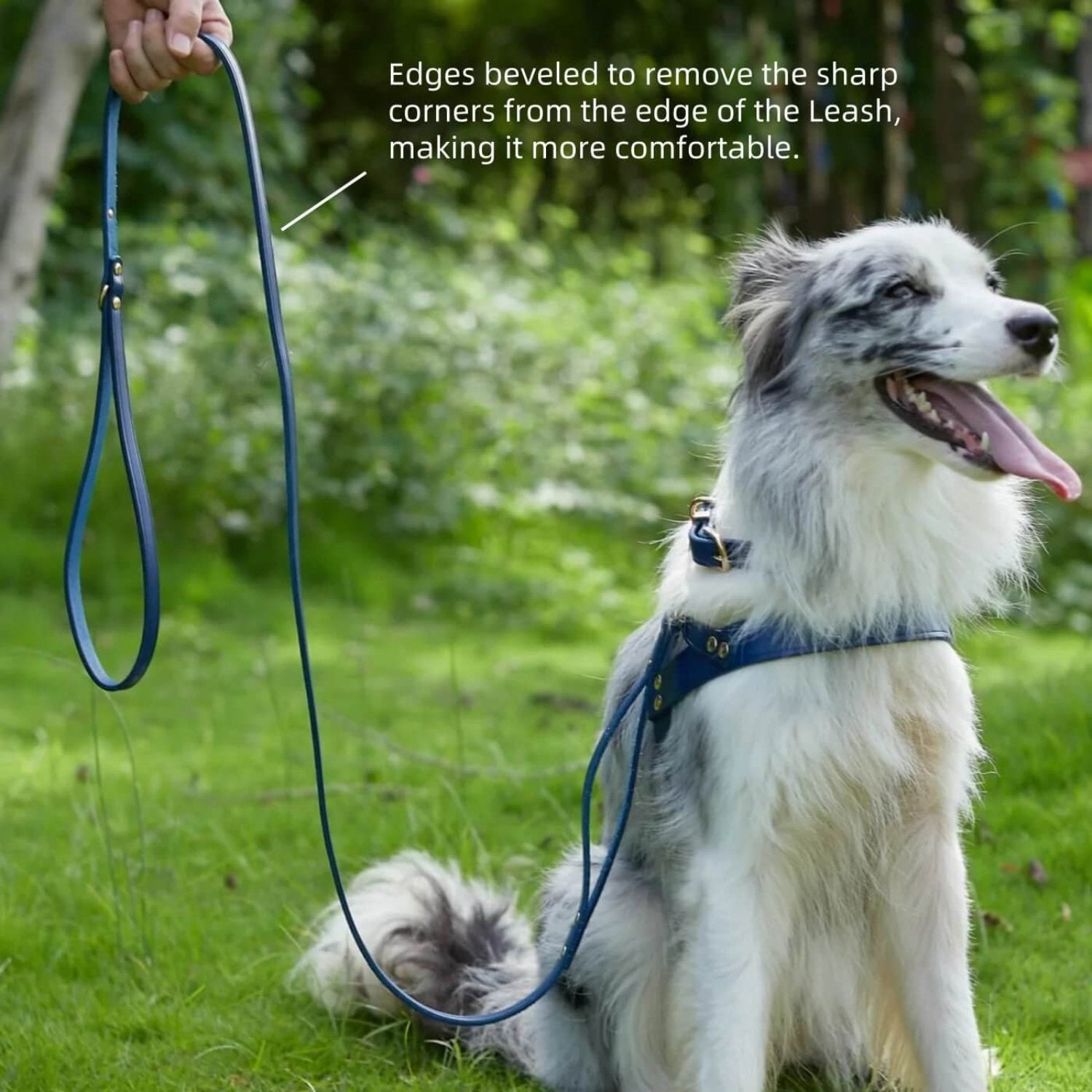 Double Handle Leash Blue