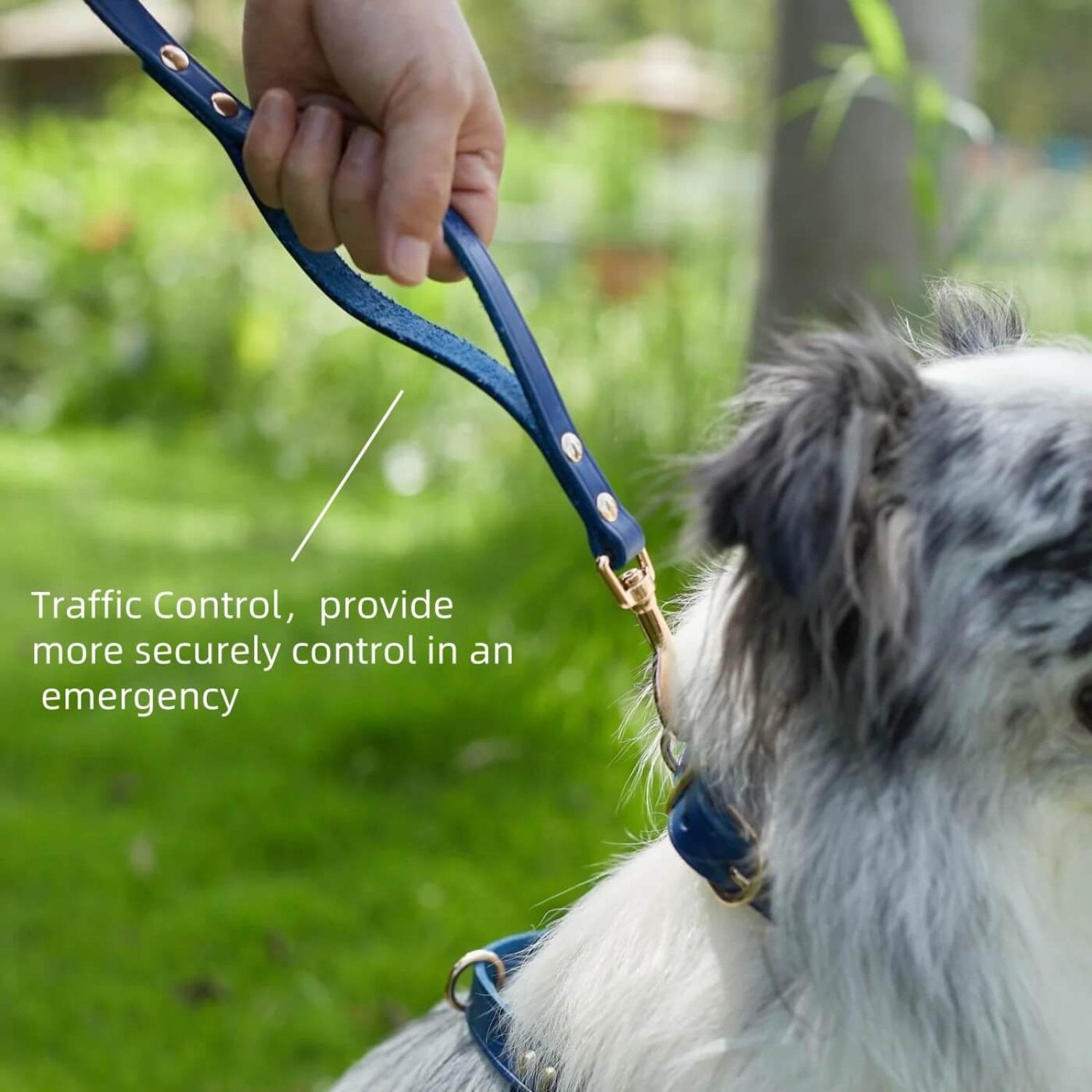 Double Handle Leash Blue