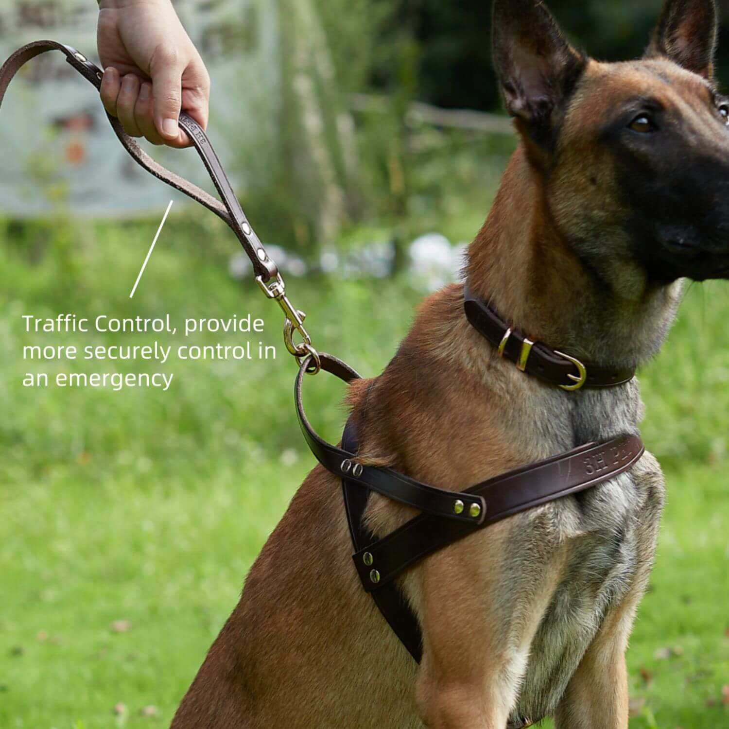 Double Handle Leash Brown