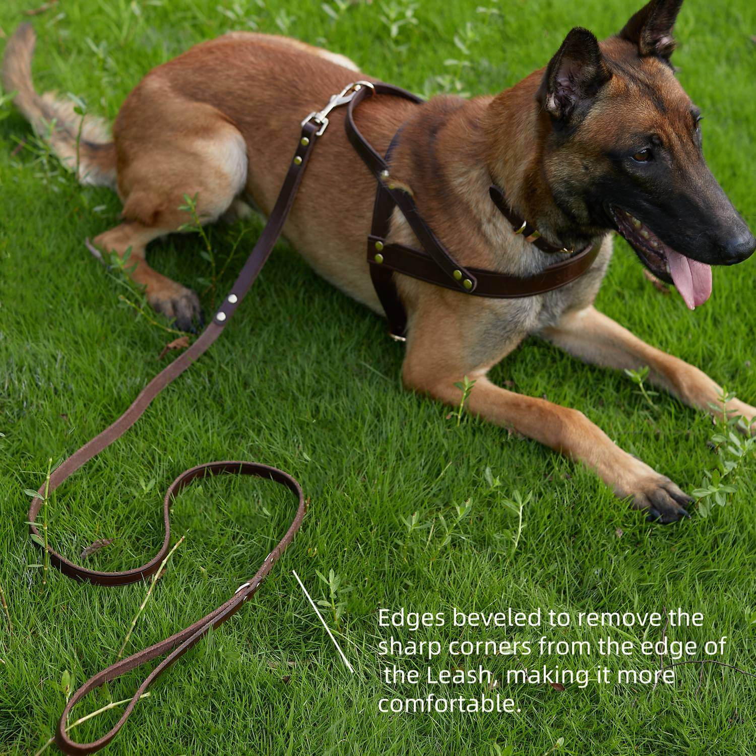 Double Handle Leash Brown