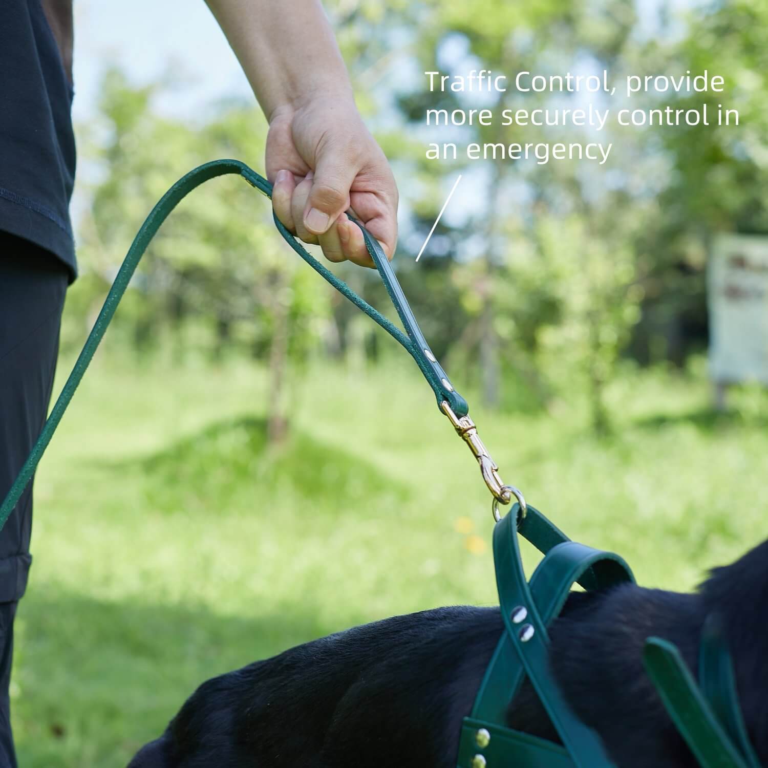 Double Handle Leash Green