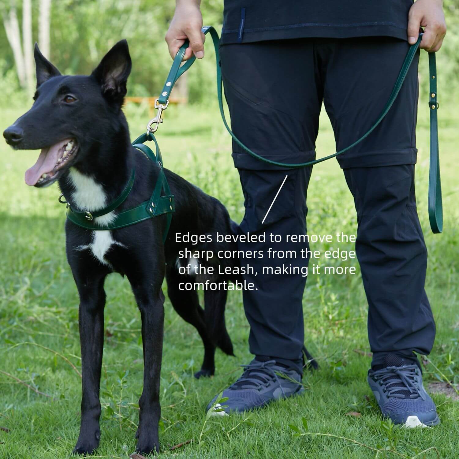 Double Handle Leash Green