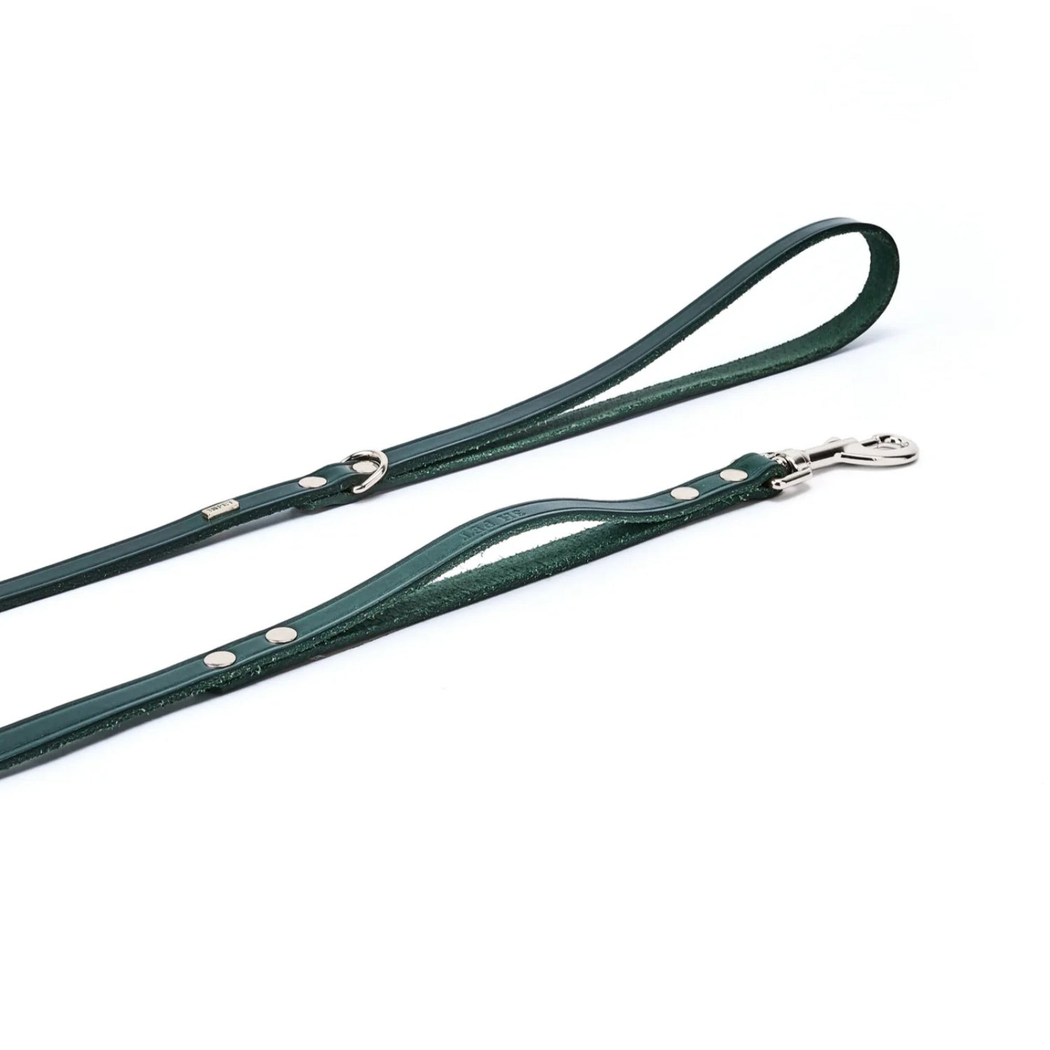 Double Handle Leash Green