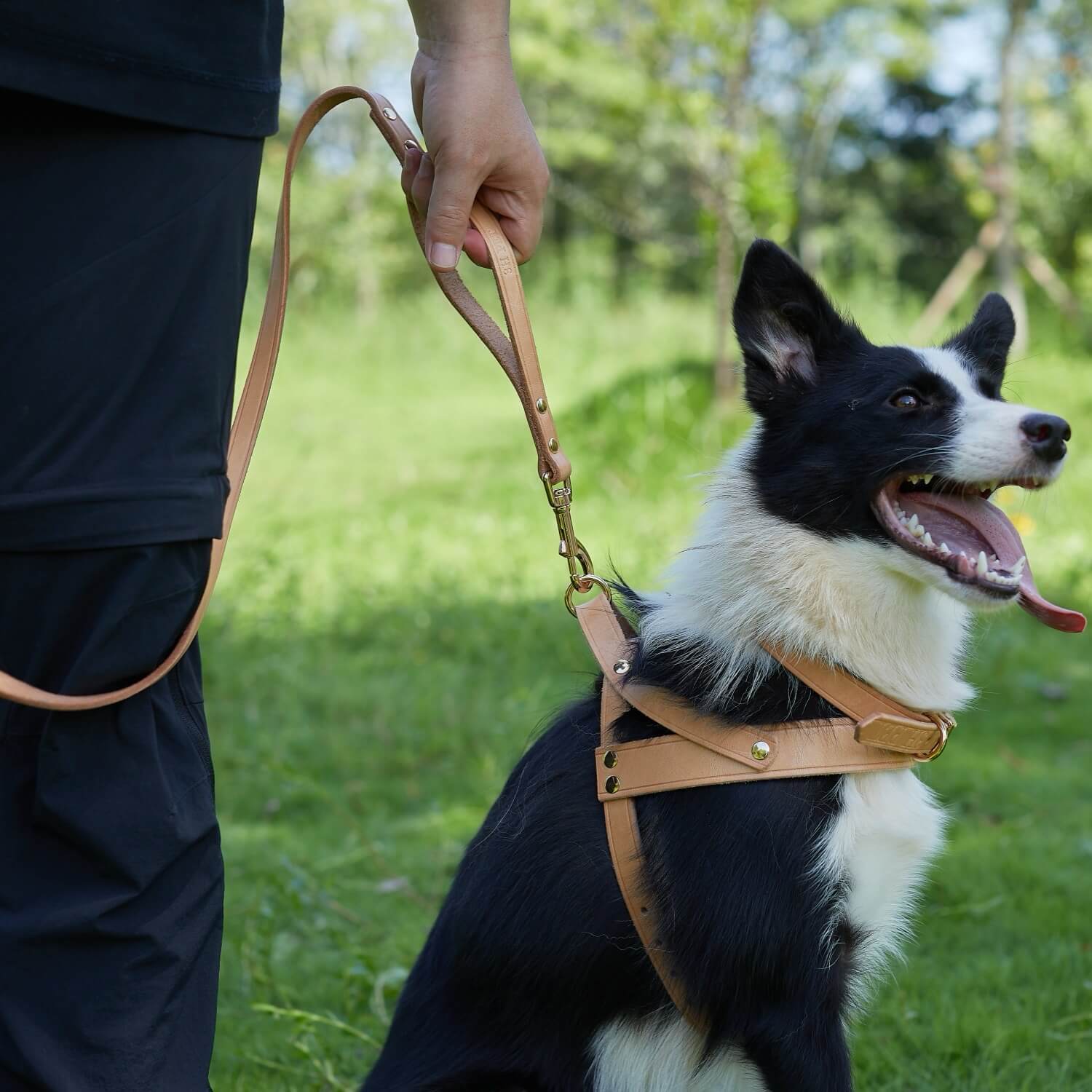 Double Handle Leash Nature