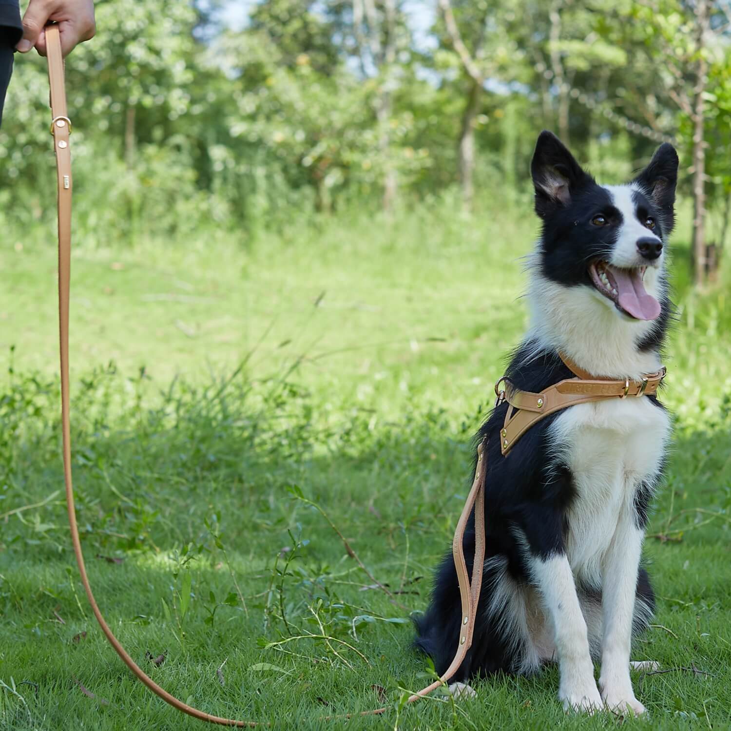 Double Handle Leash Nature