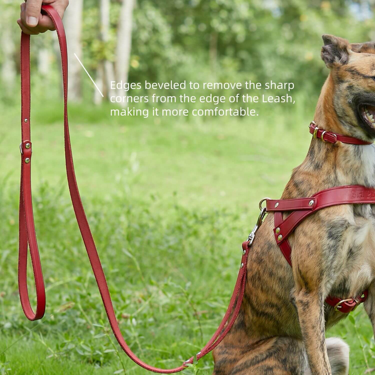 Double Handle Leash Red